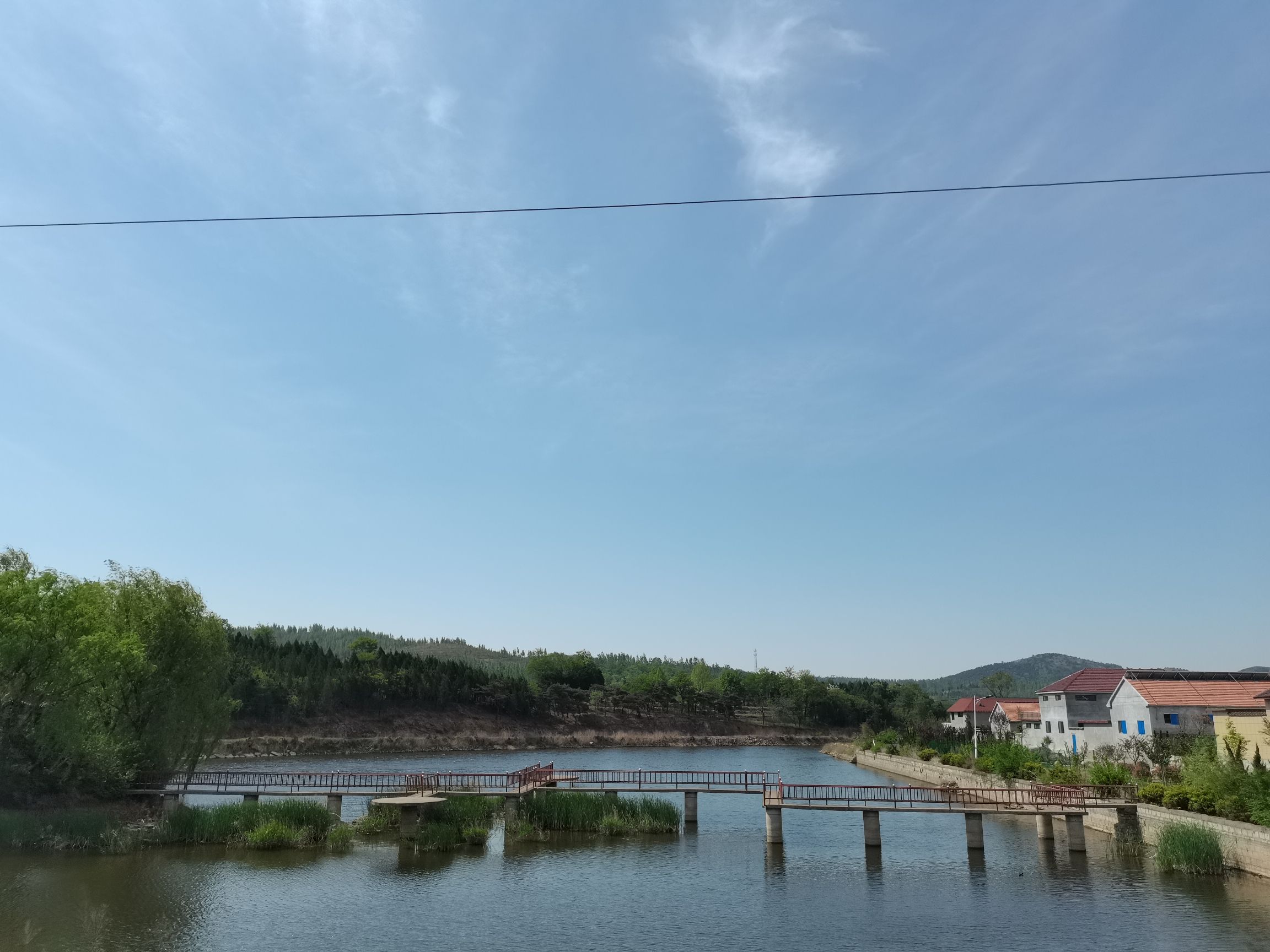 莲生湖公园旅行图片 3