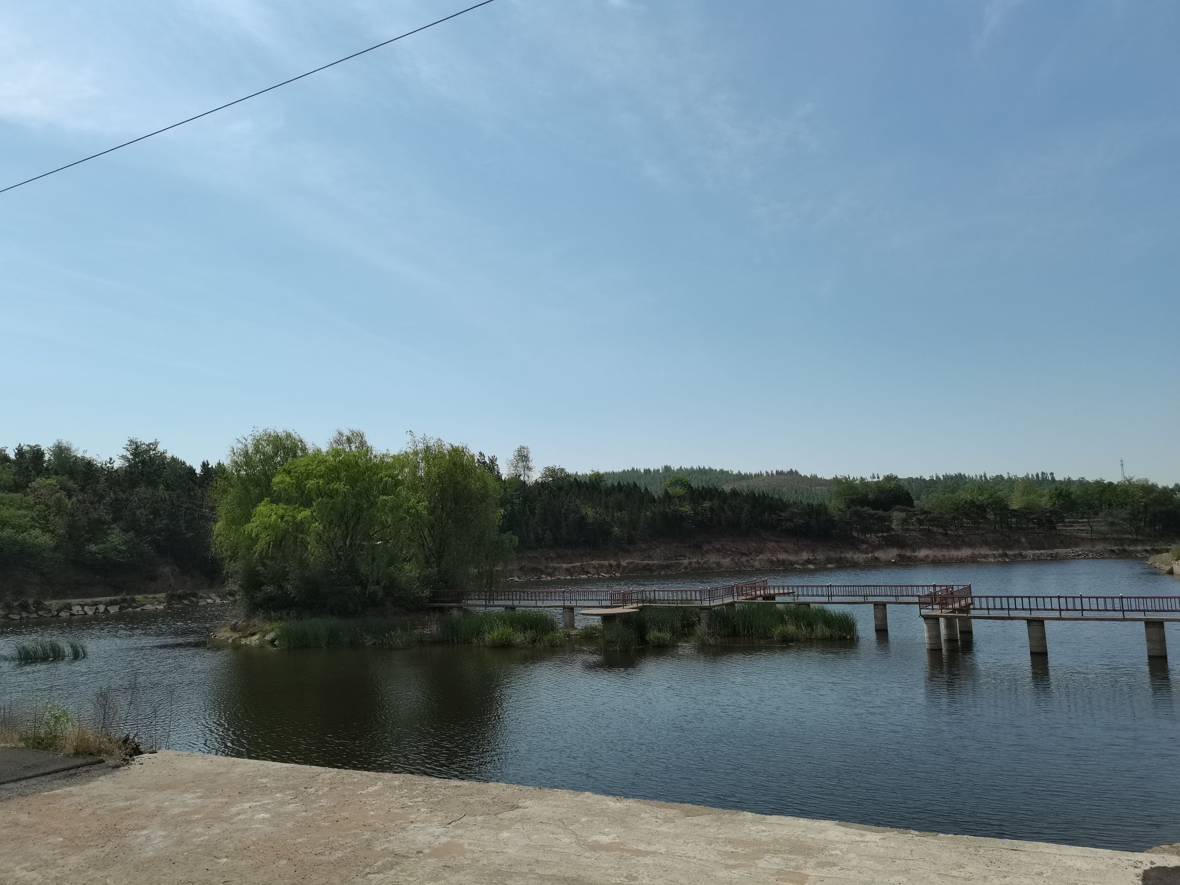 莲生湖公园旅行图片 1