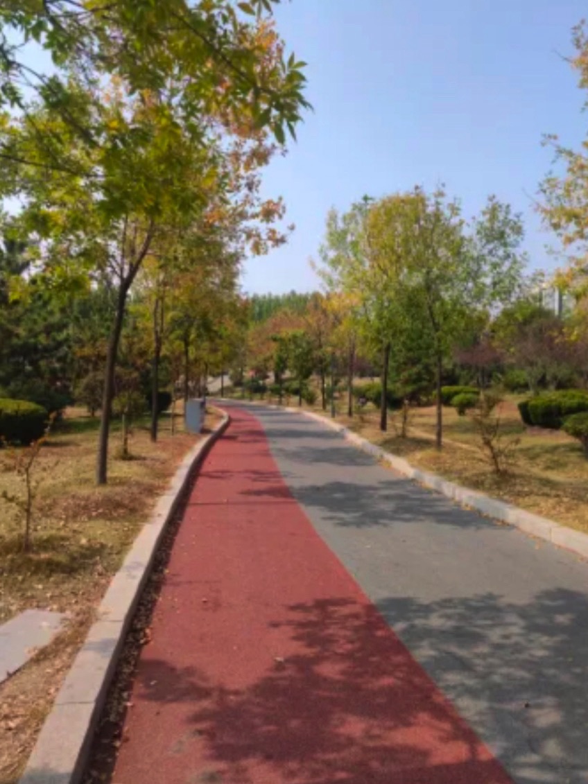 沭河公园旅行图片 3