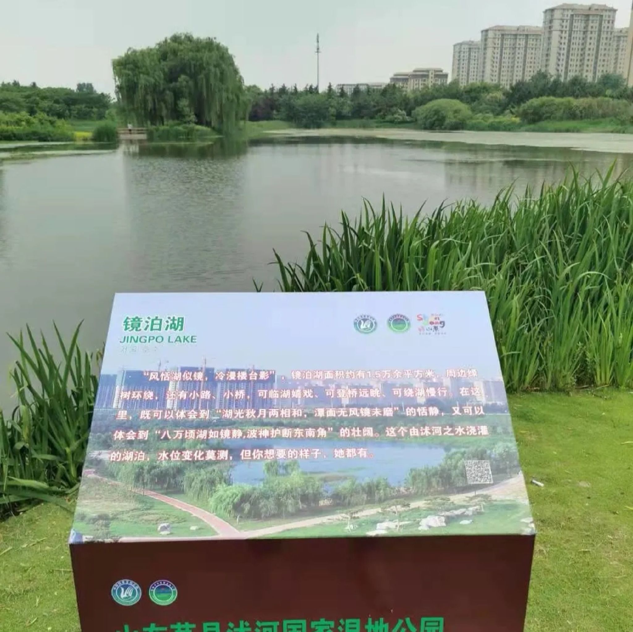 沭河公园旅行图片 1
