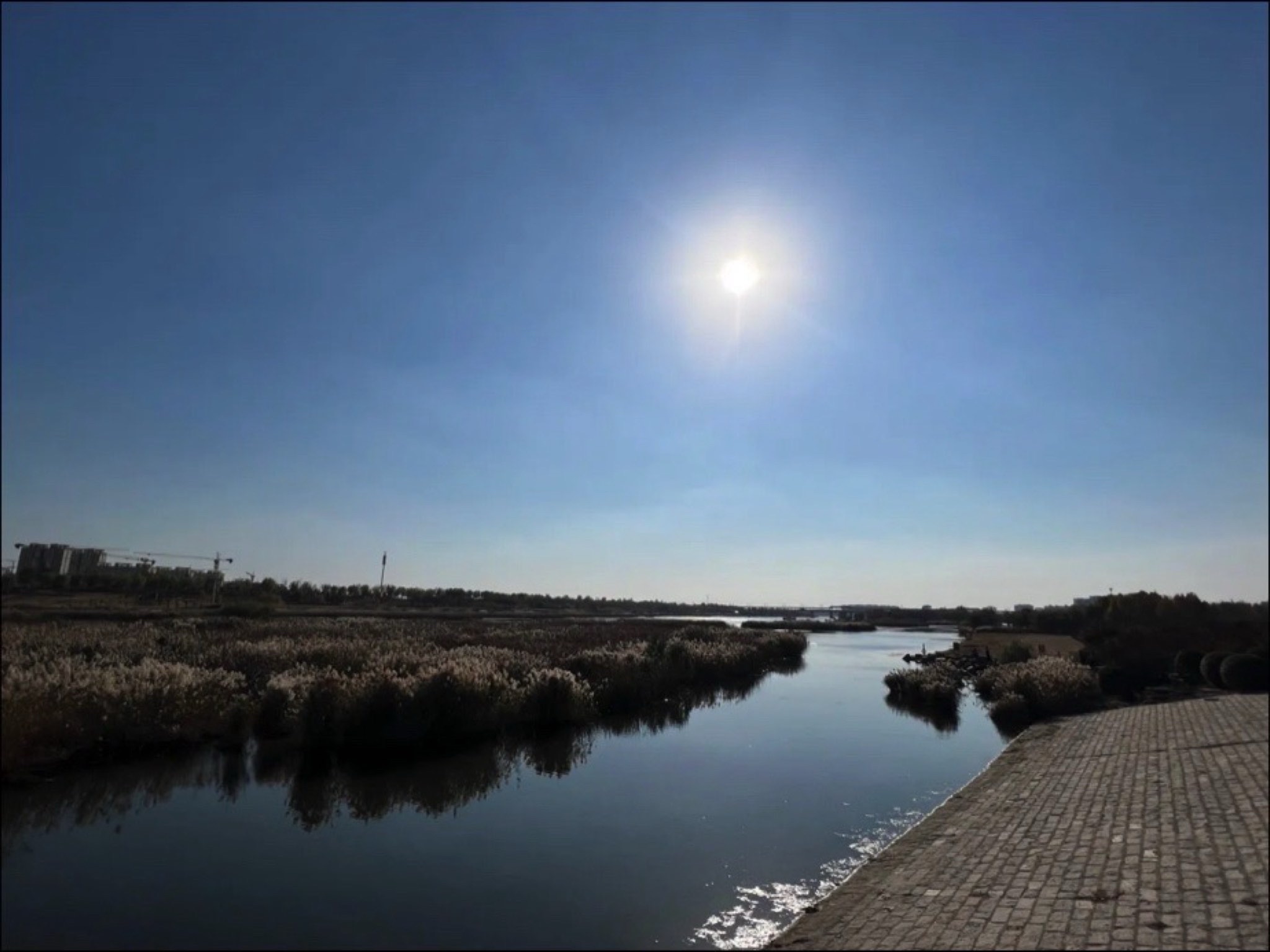 沭河公园旅行图片 1