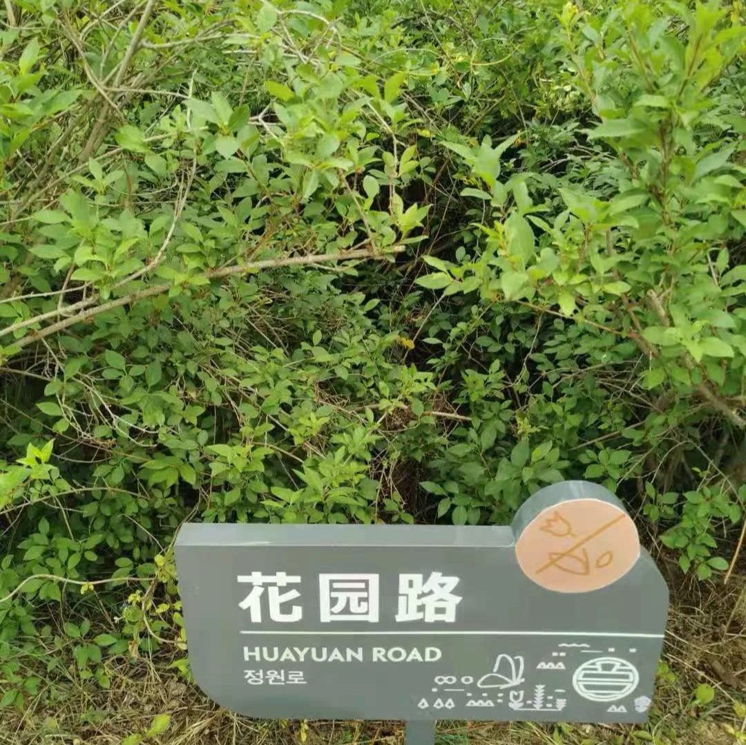 沭河公园旅行图片 2