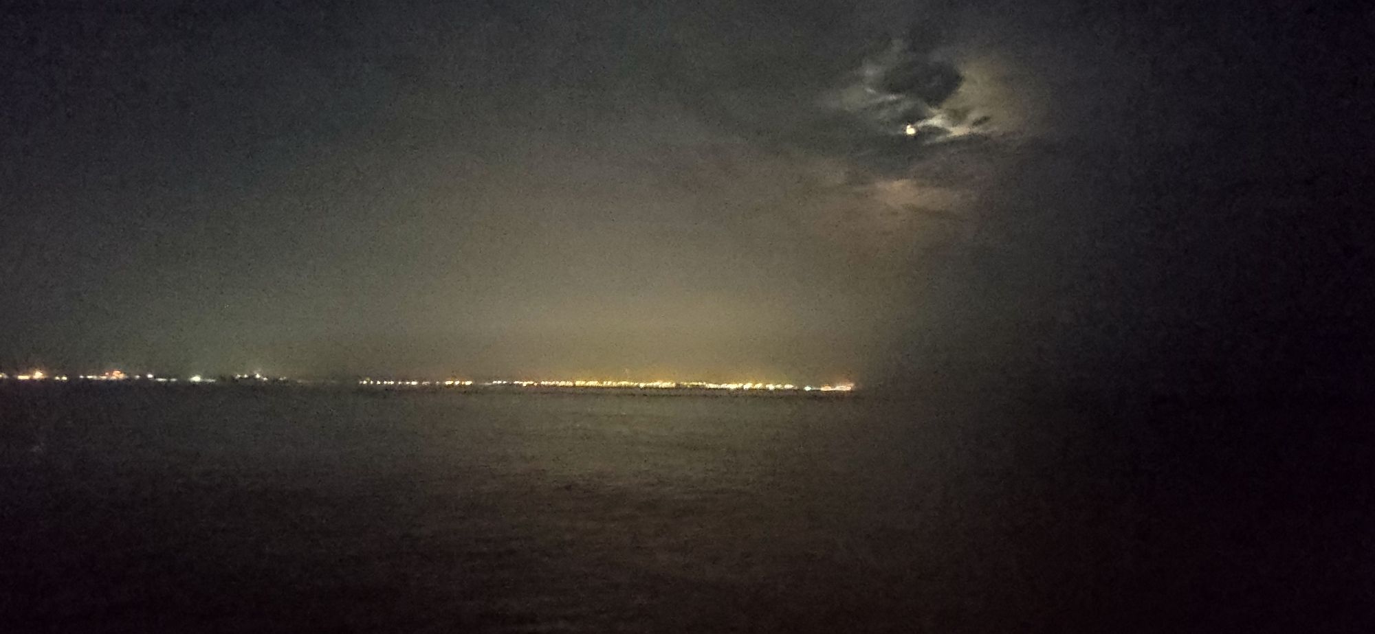 御海湾茶园景区旅行图片 1