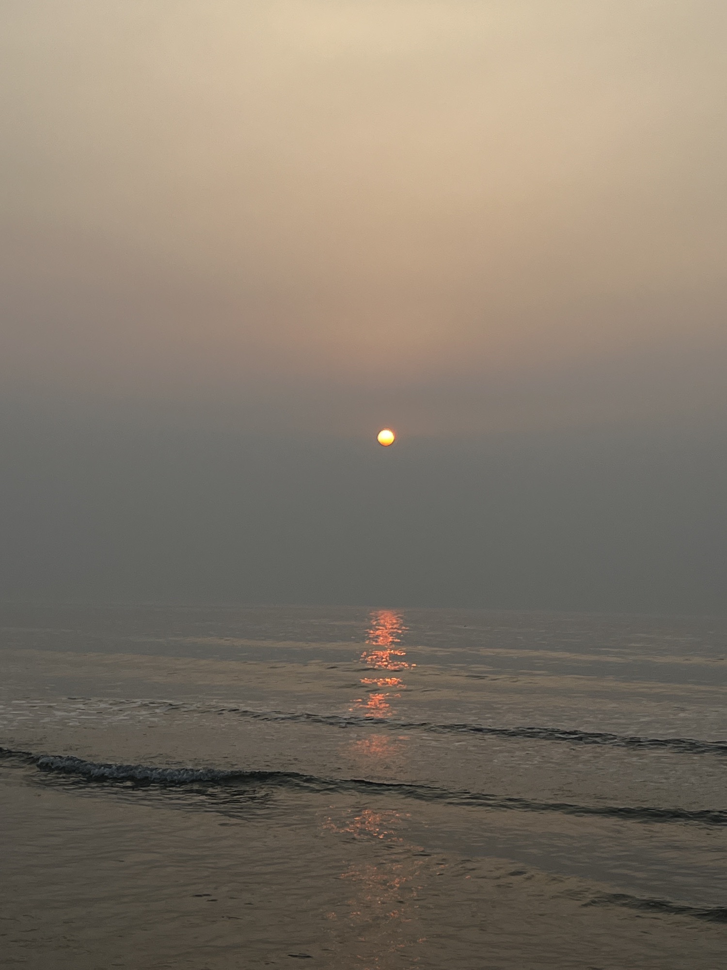 御海湾茶园景区旅行图片 2