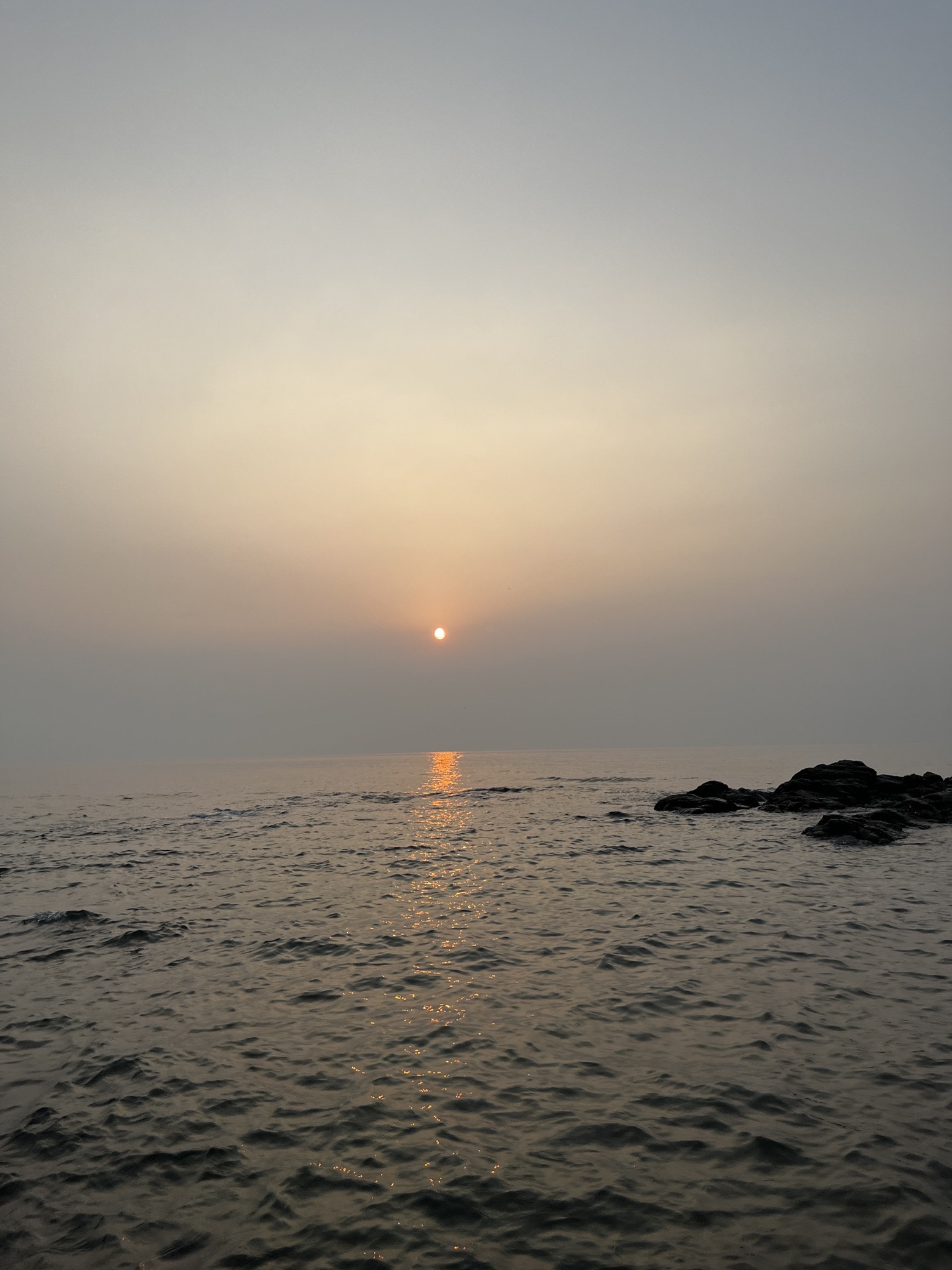 御海湾茶园景区旅行图片 3