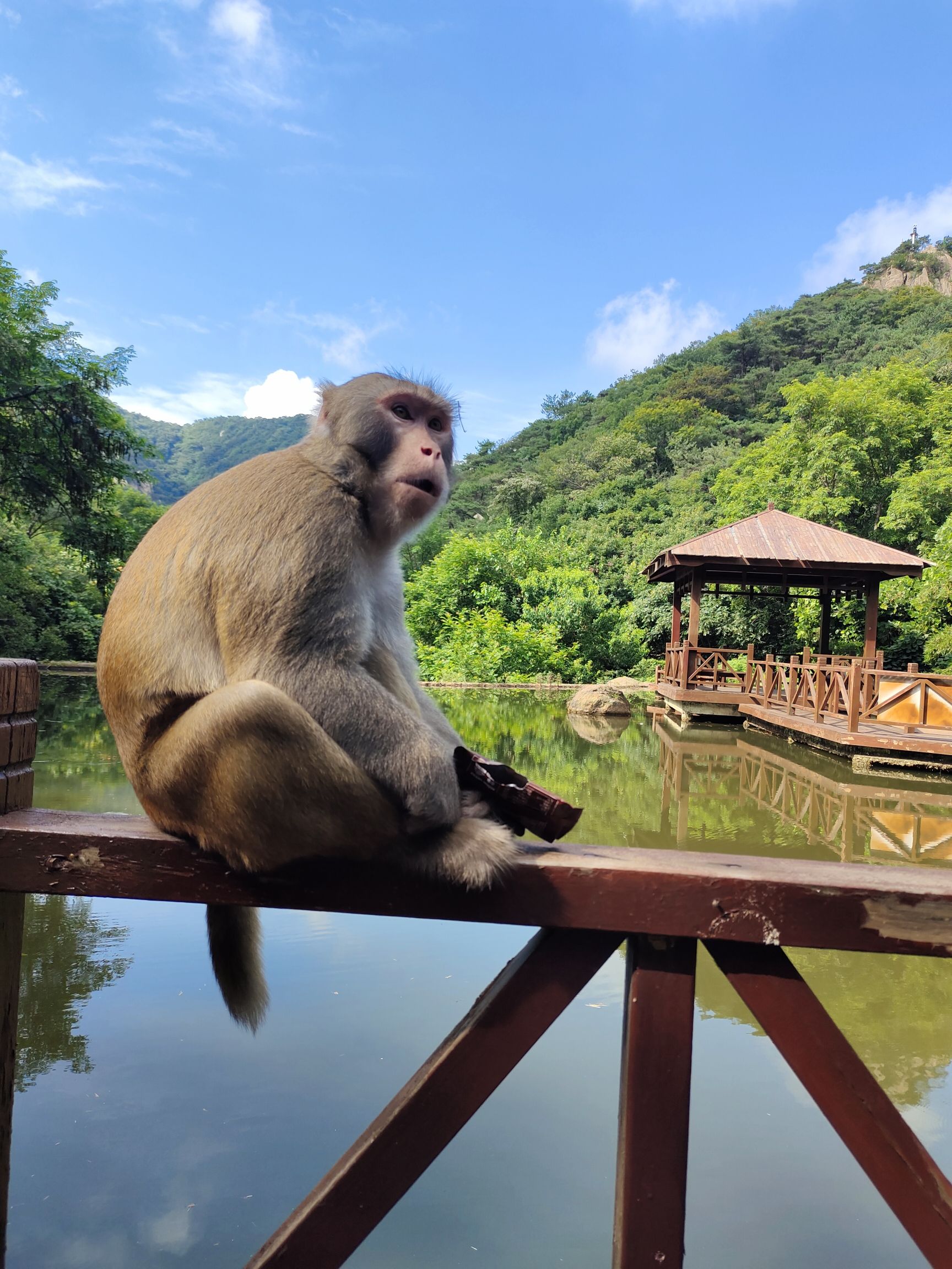 九仙山风景区旅行图片 3
