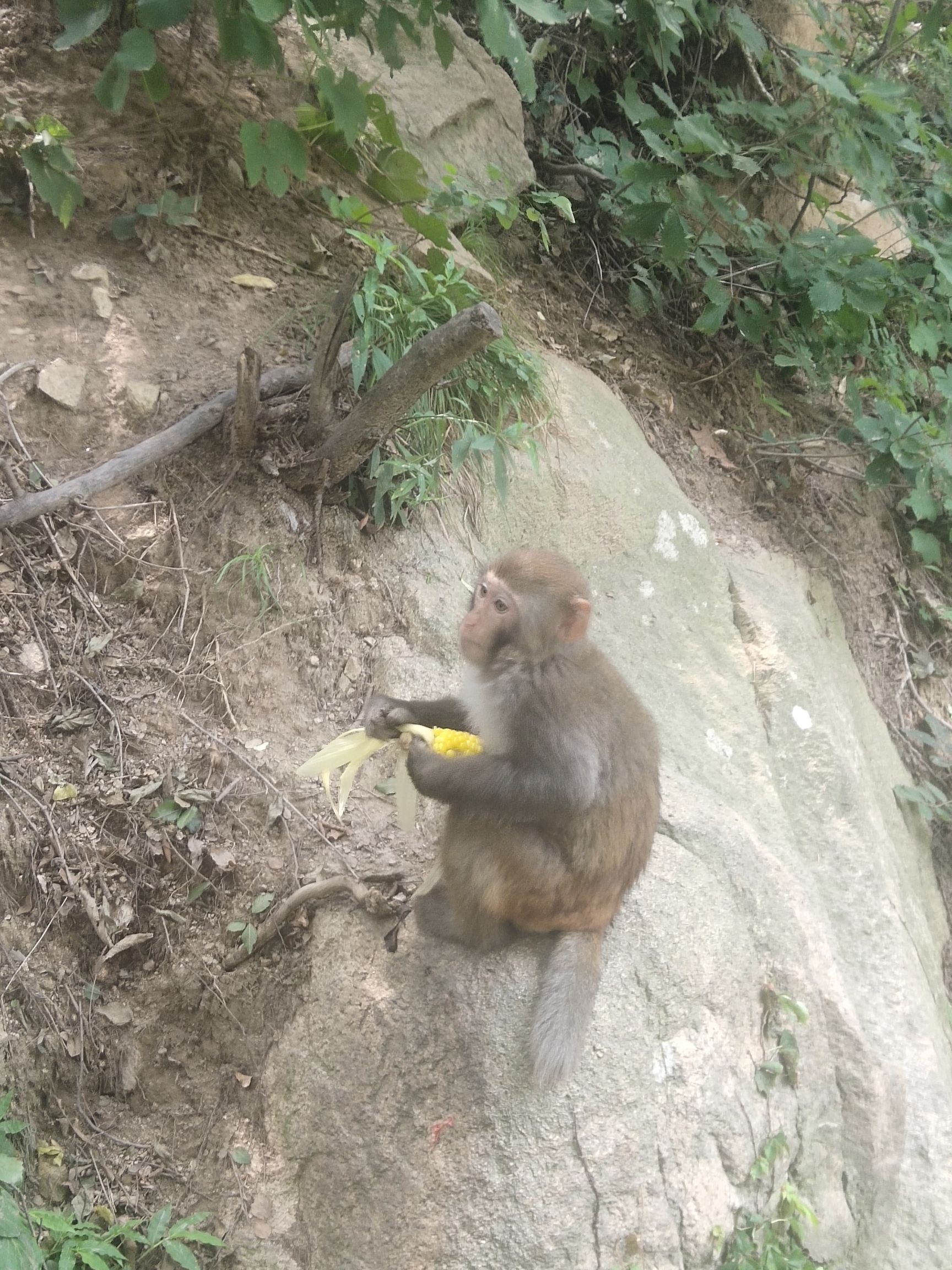九仙山风景区旅行图片 1
