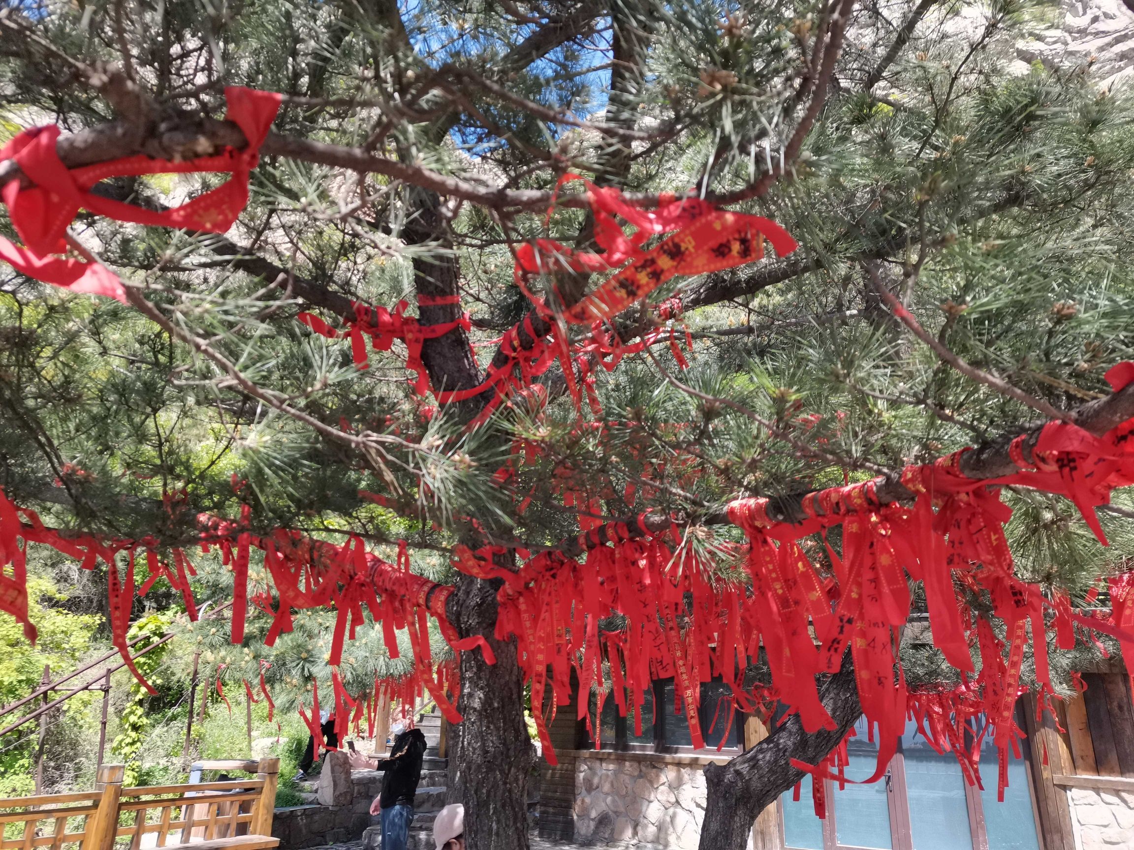 日照河山风景区旅行图片 3
