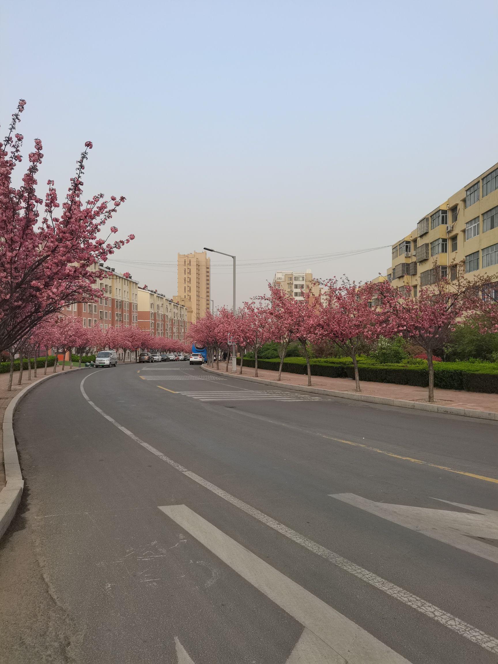 幸福公园旅行图片 2