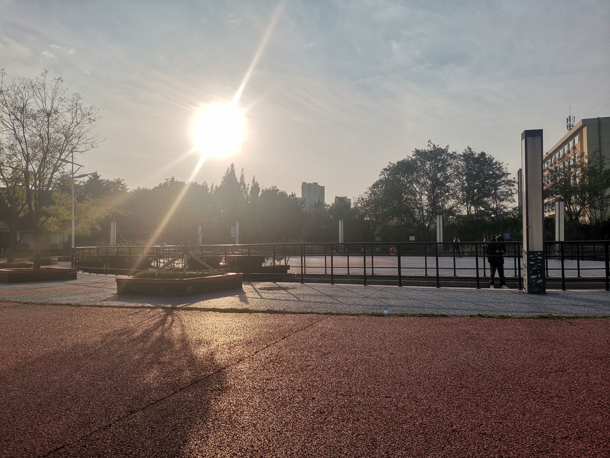 日照大学科技园公园旅行图片 1