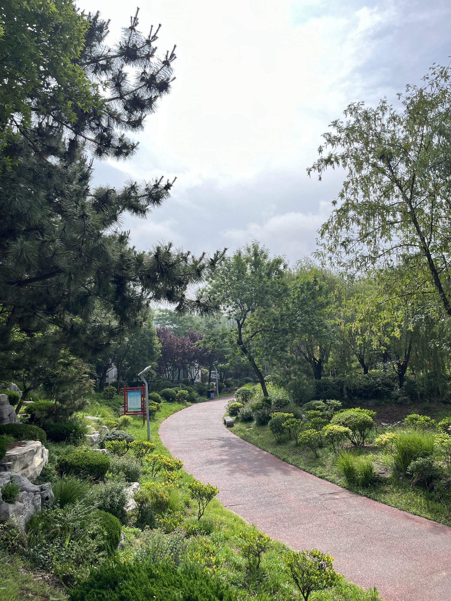 日照大学科技园公园旅行图片 2
