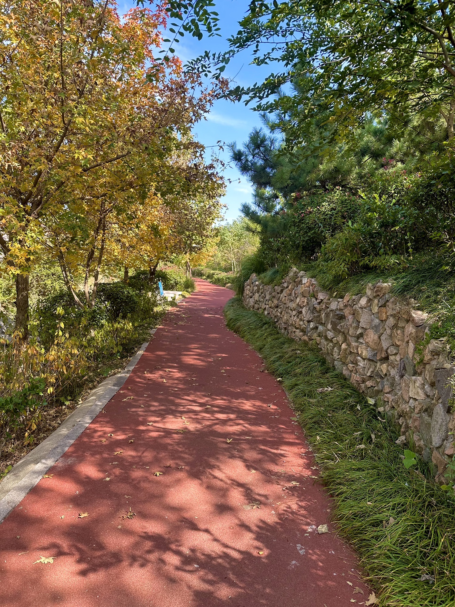 日照大学科技园公园旅行图片 1