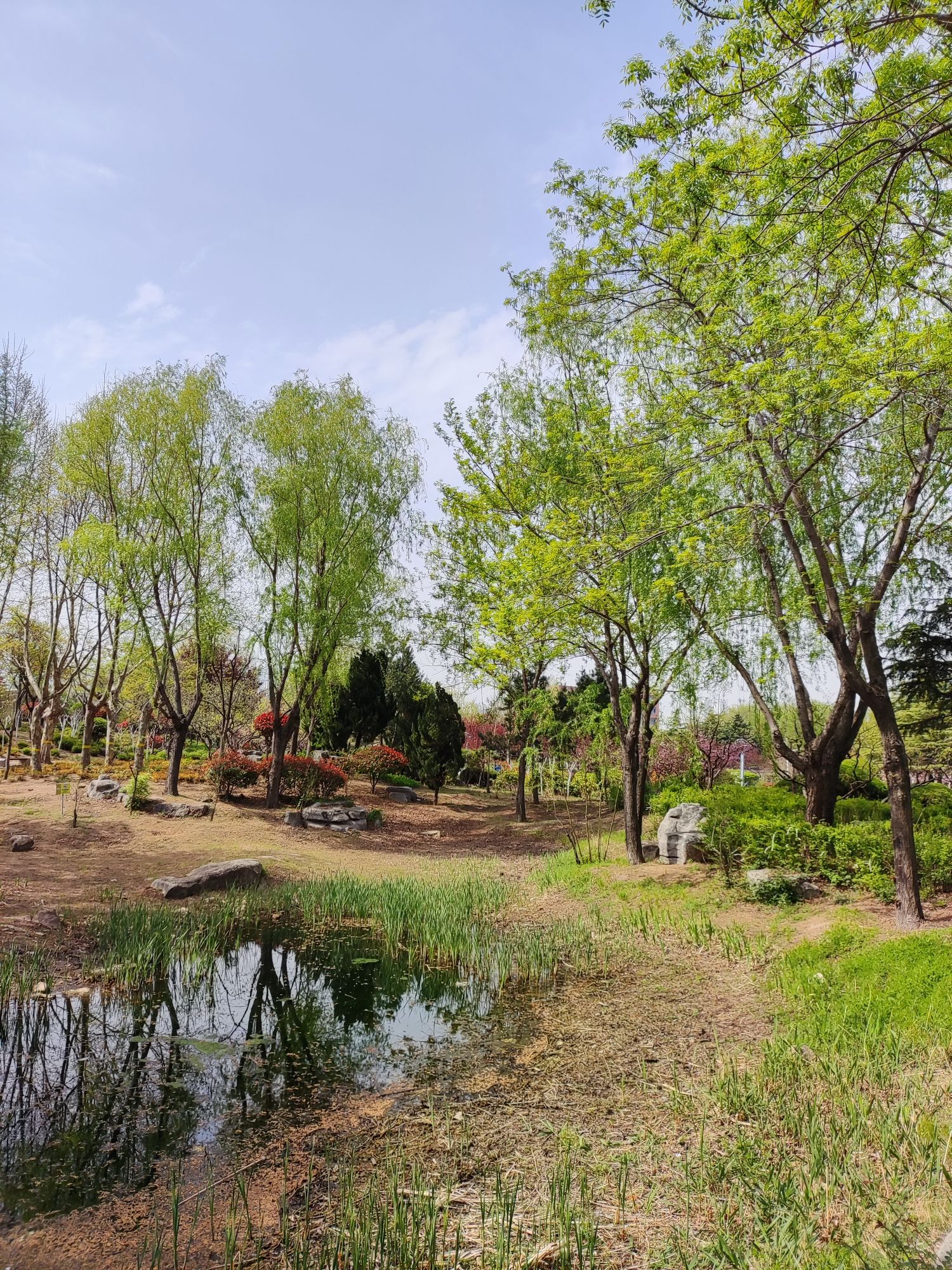 日照大学科技园公园