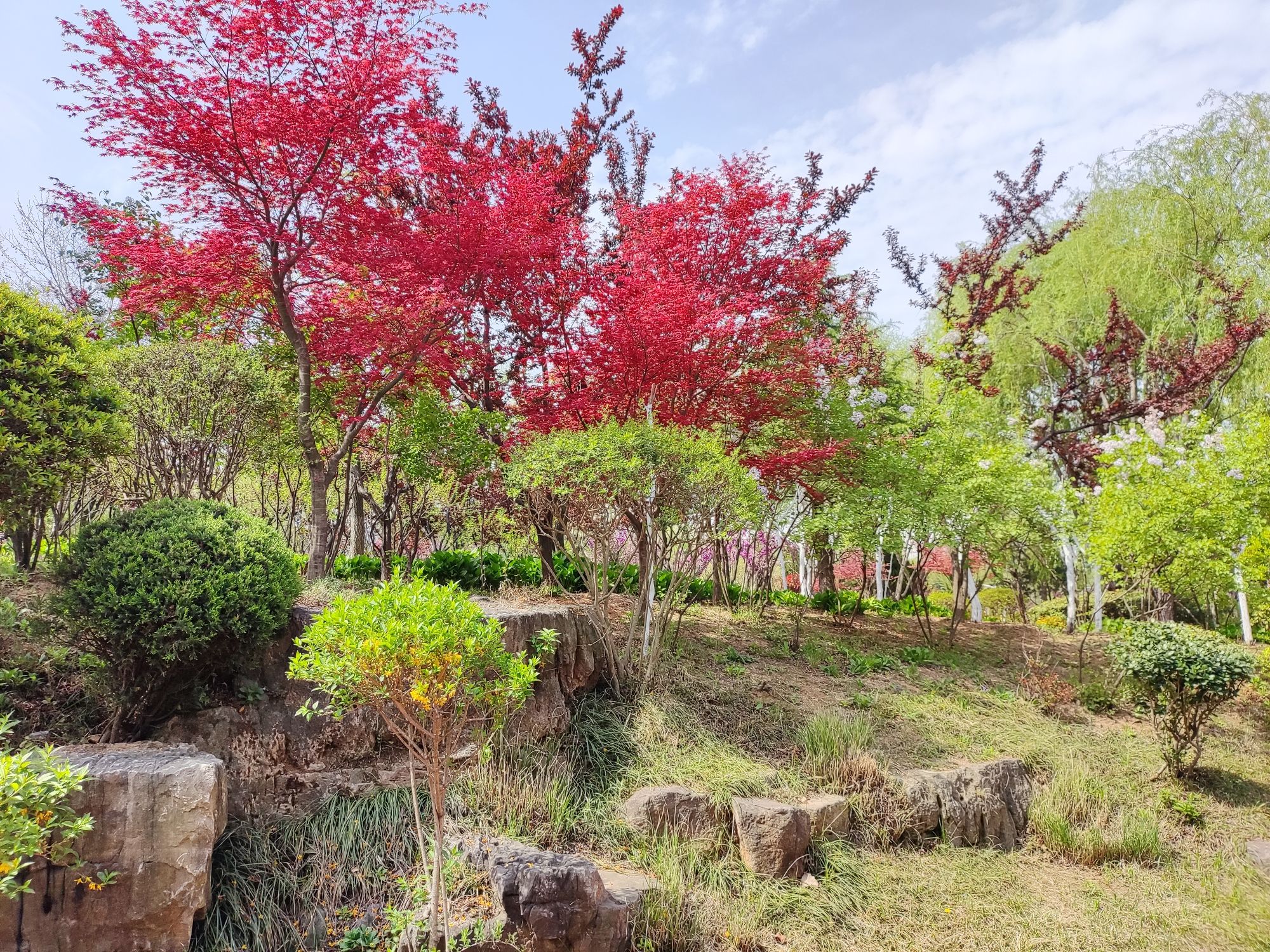 日照大学科技园公园
