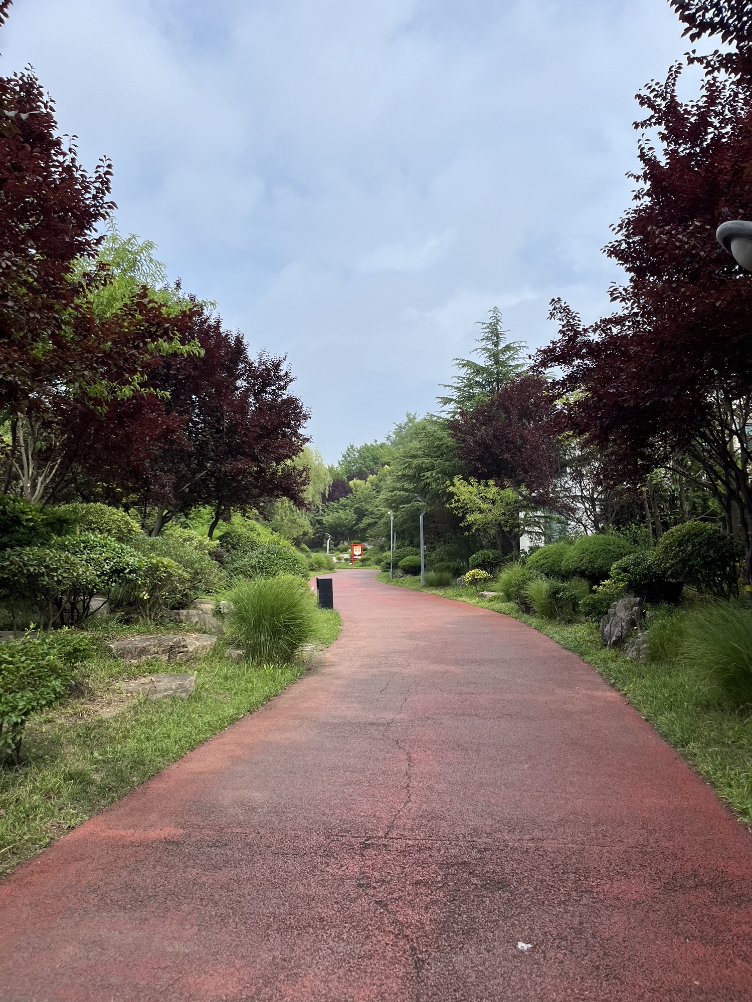 日照大学科技园公园旅行图片 3