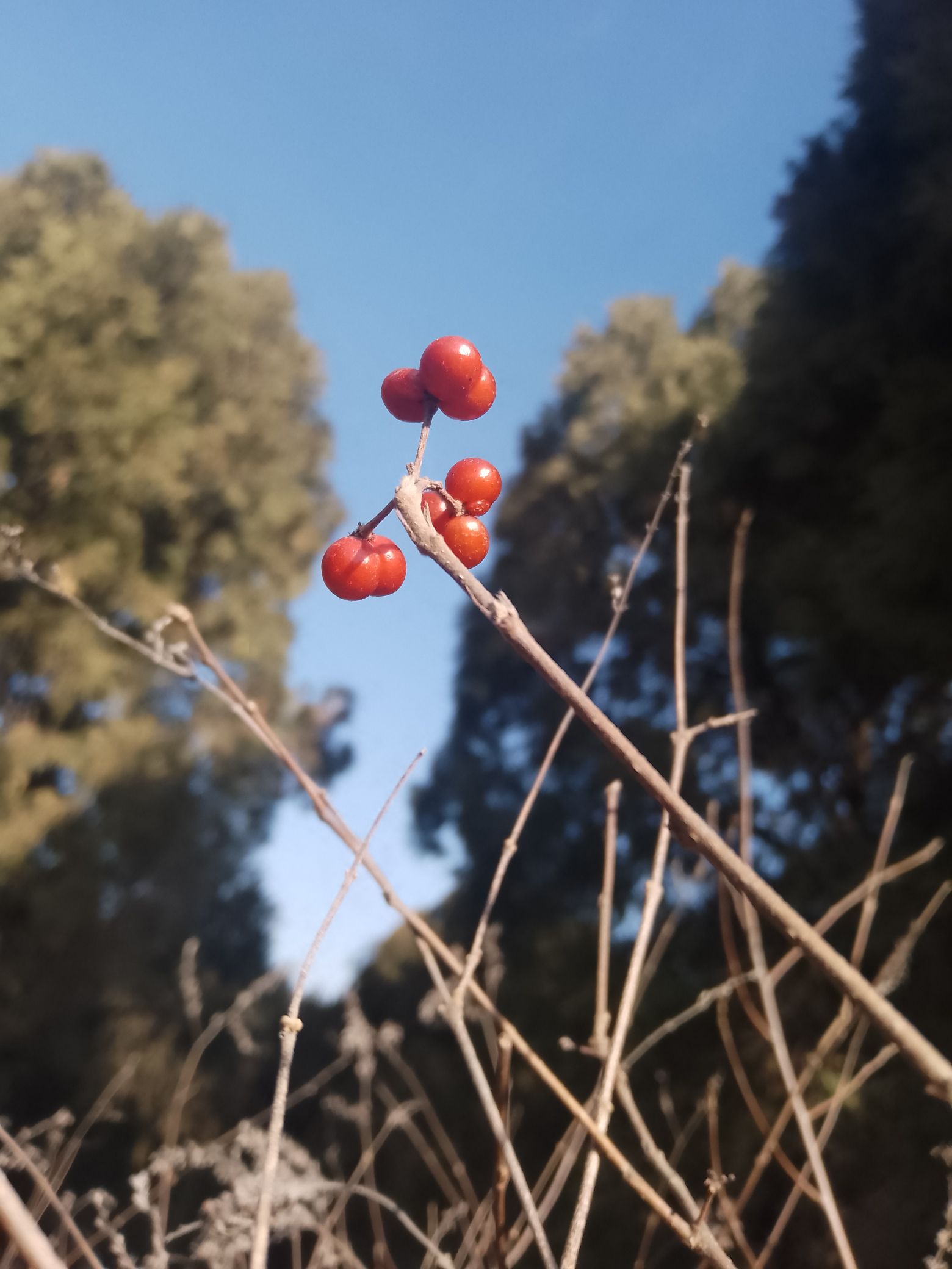 万福山旅行图片 2