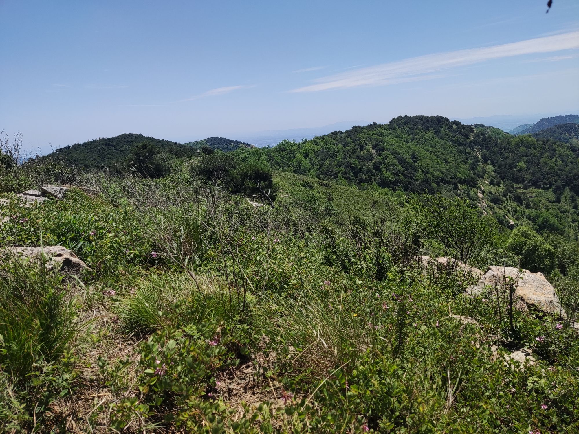 林海草原旅行图片 1