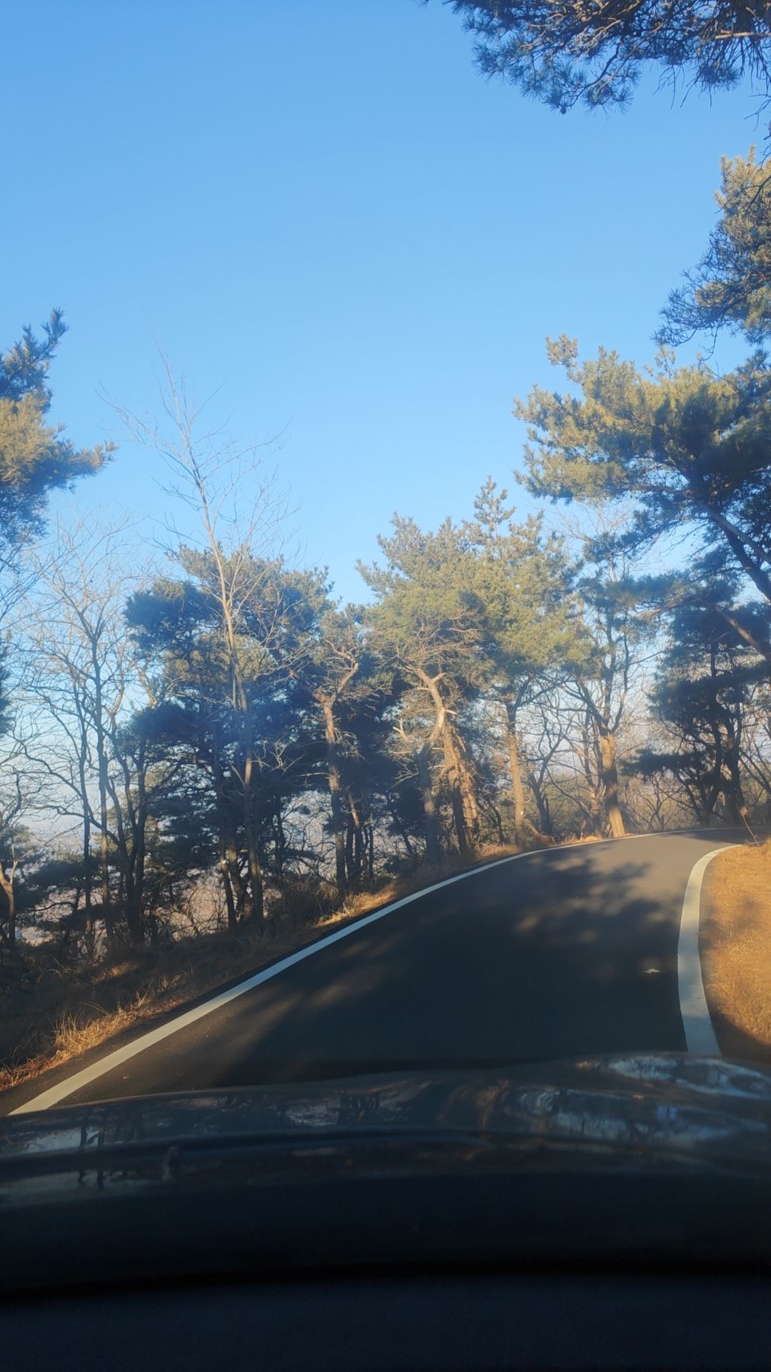 林海草原旅行图片 3
