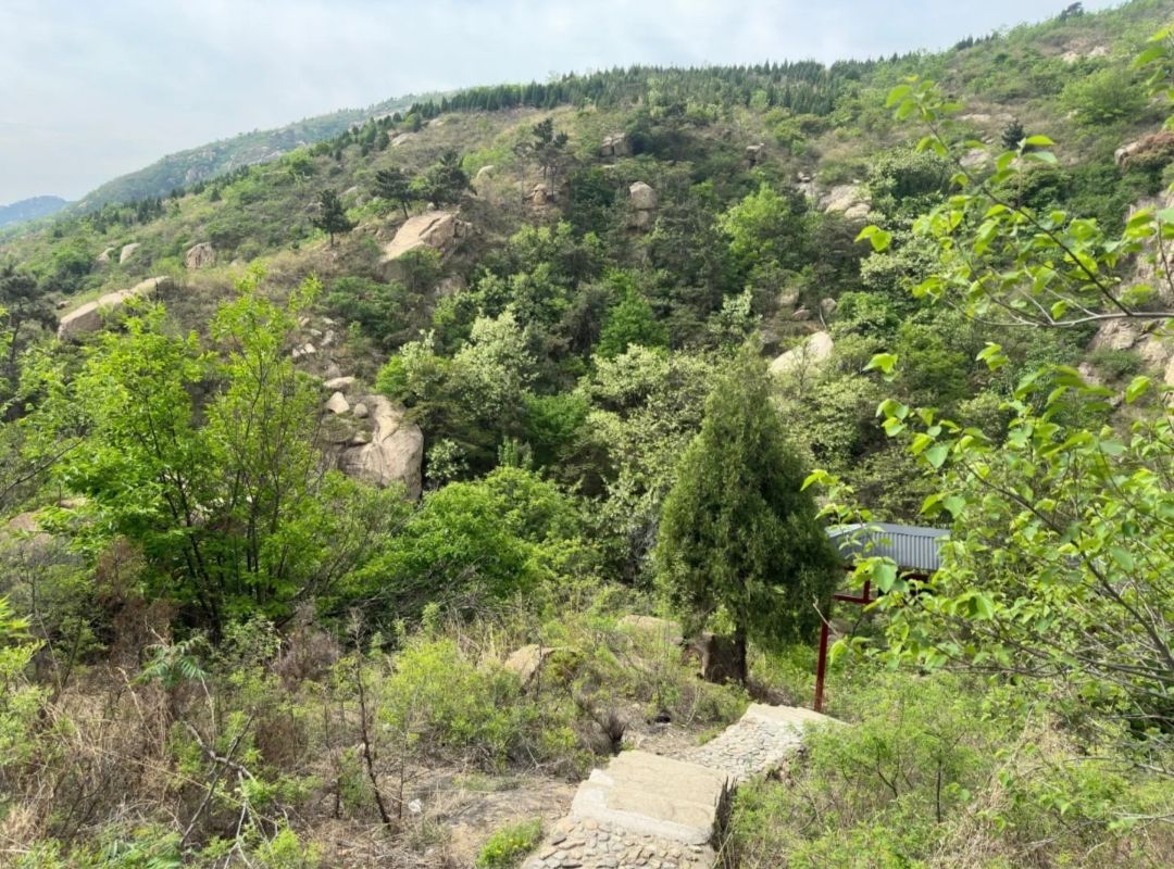 雪野三峡景区旅行图片 1