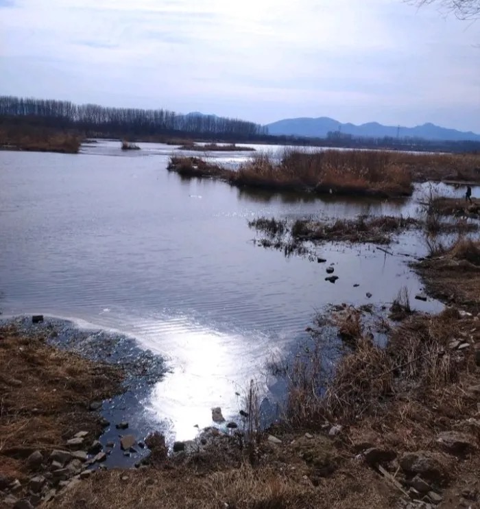 西海公园旅行图片 1