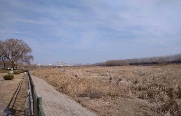 西海公园旅行图片 3