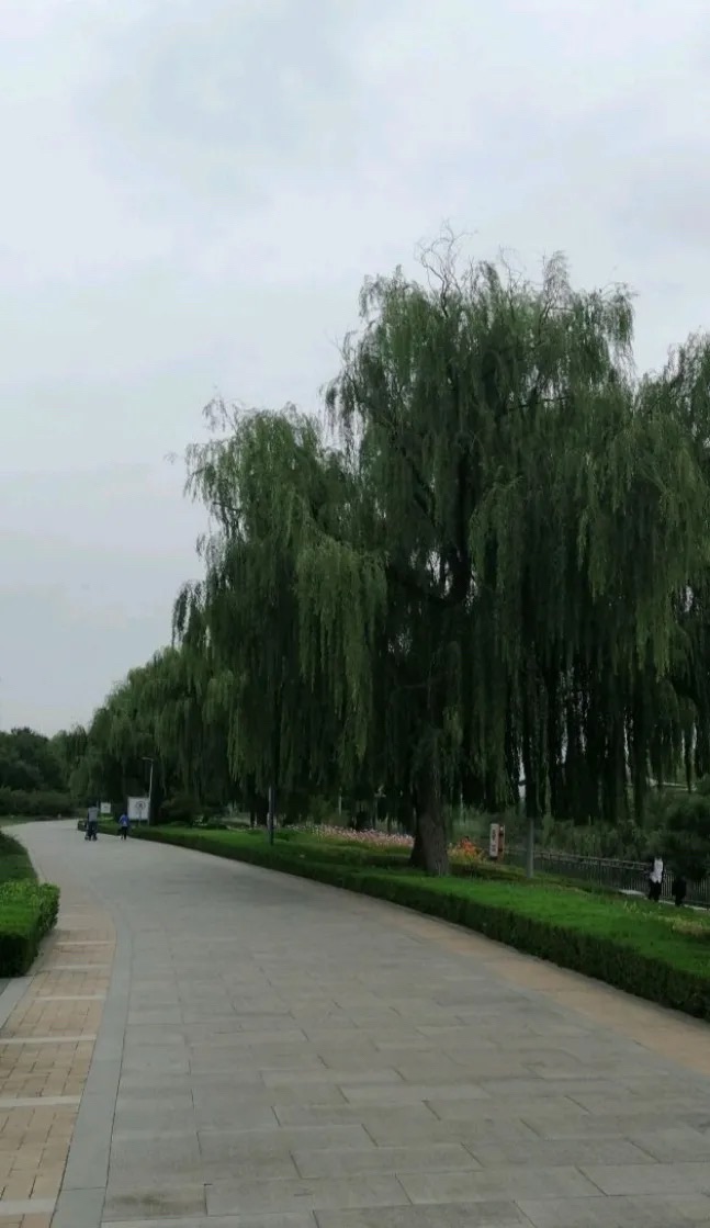 西海公园旅行图片 2