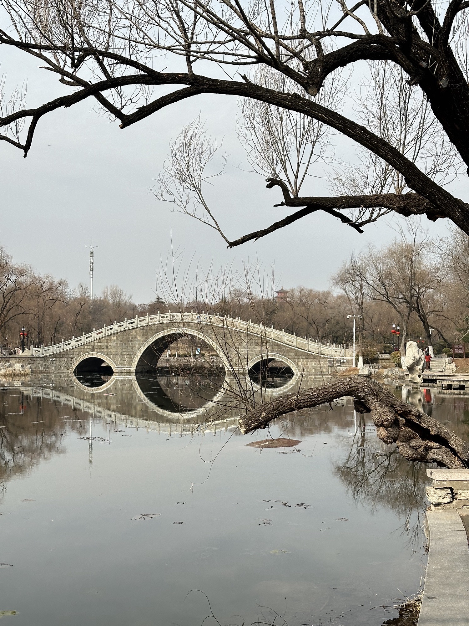 红石公园旅行图片 3