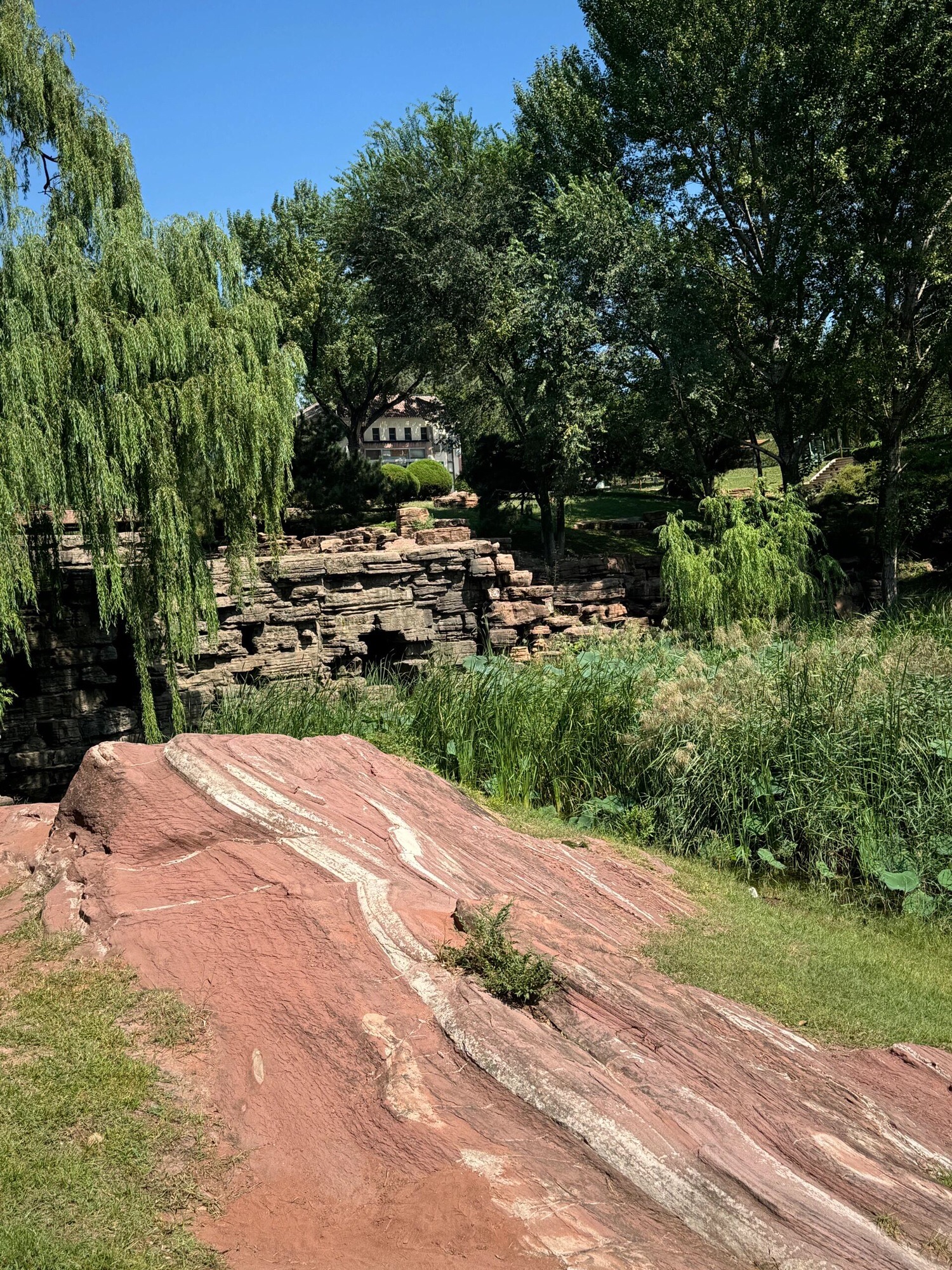 红石公园旅行图片 3