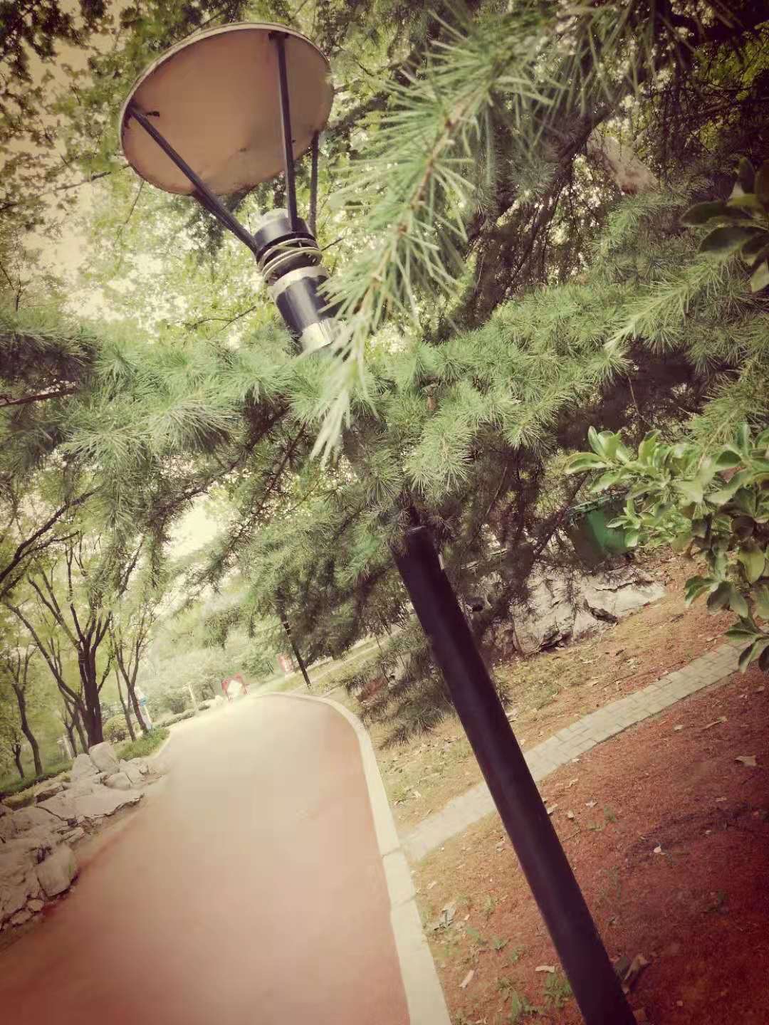 红石公园旅行图片 2
