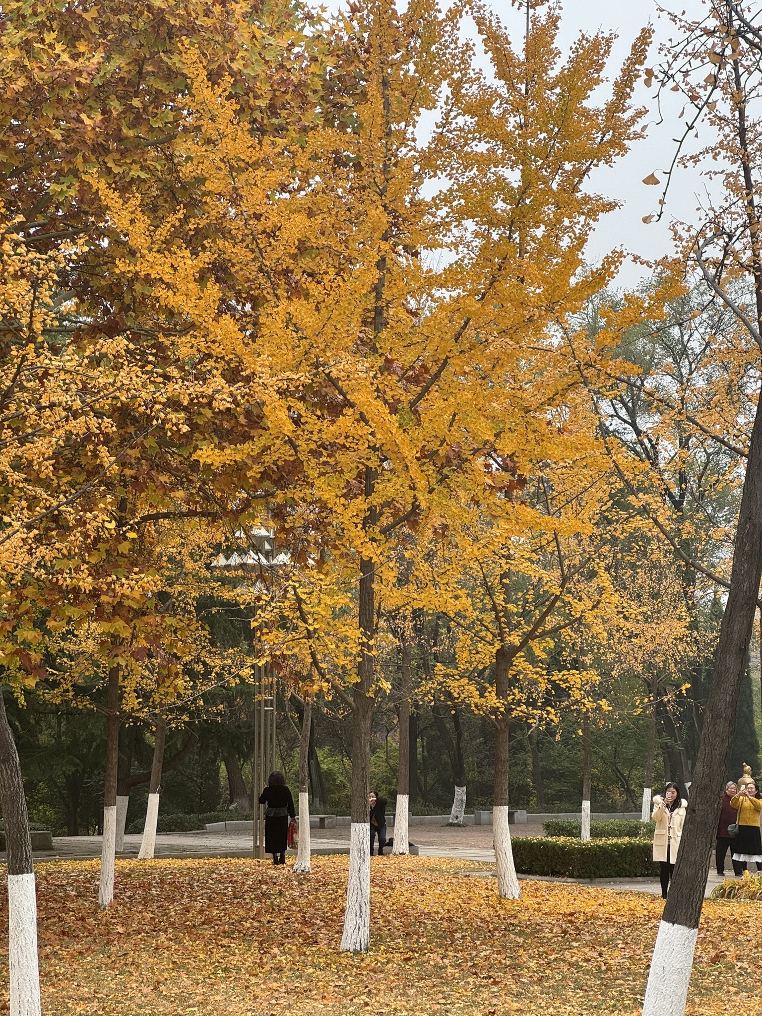 红石公园旅行图片 2