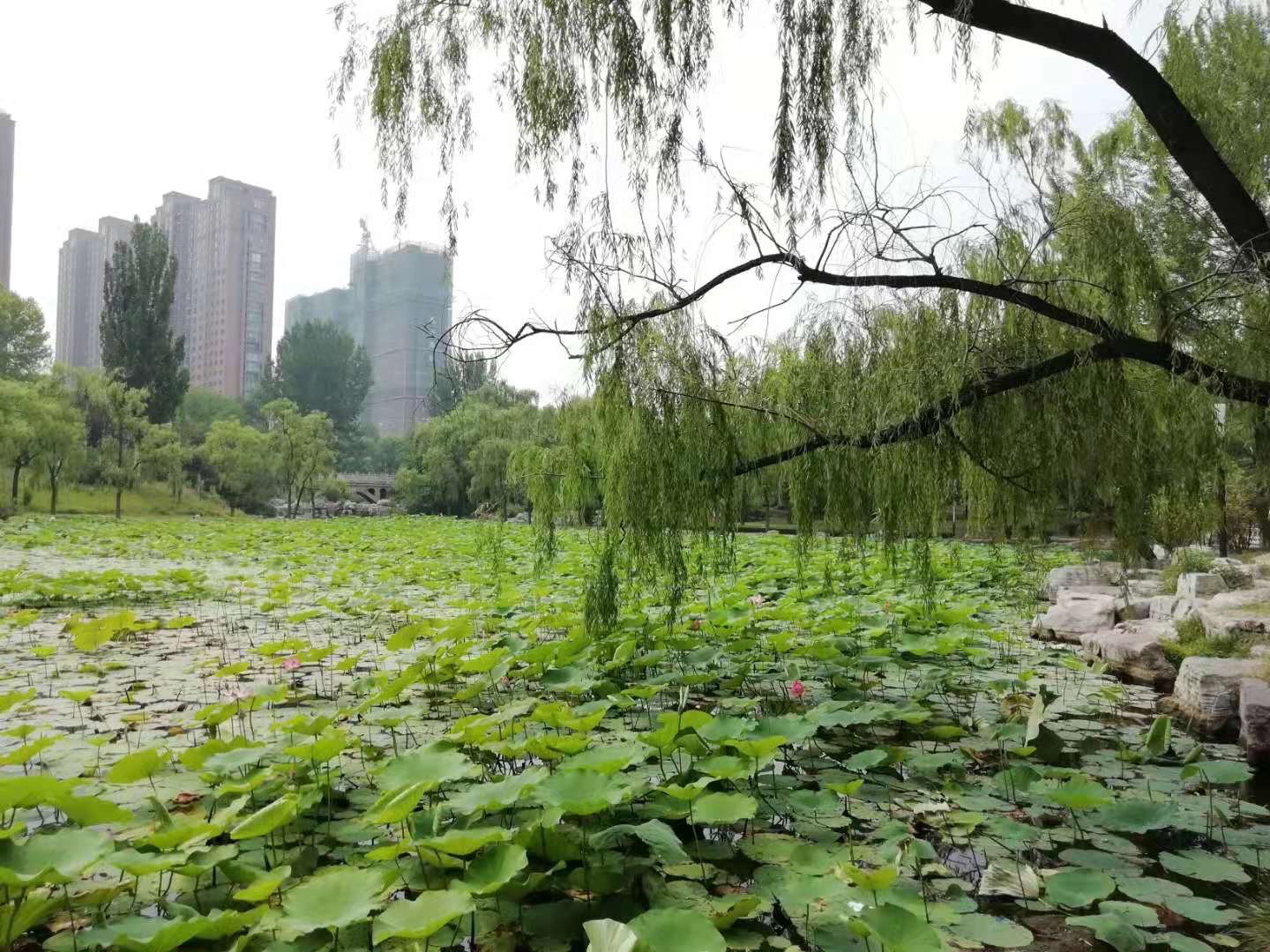 红石公园旅行图片 3