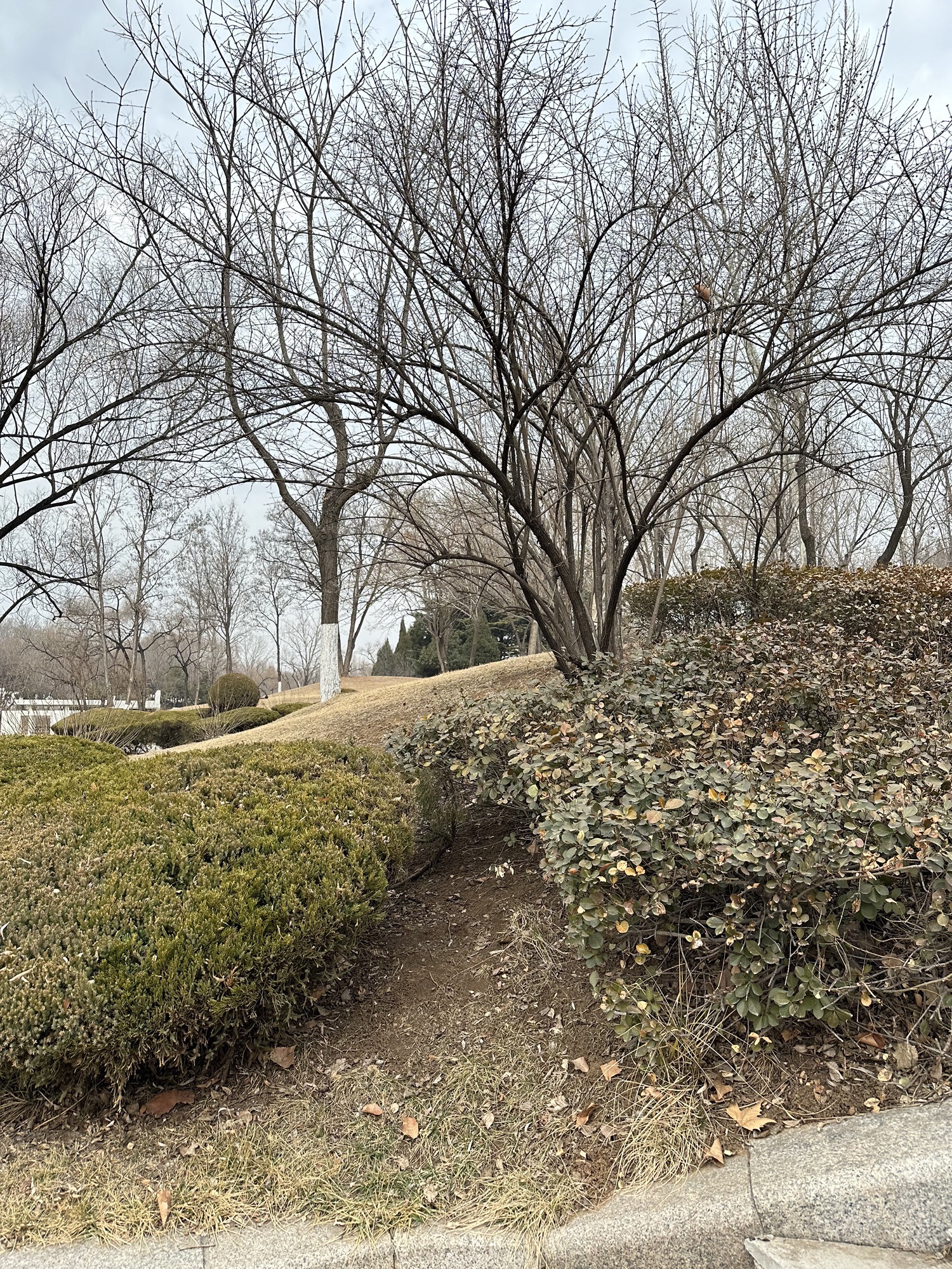 红石公园旅行图片 1