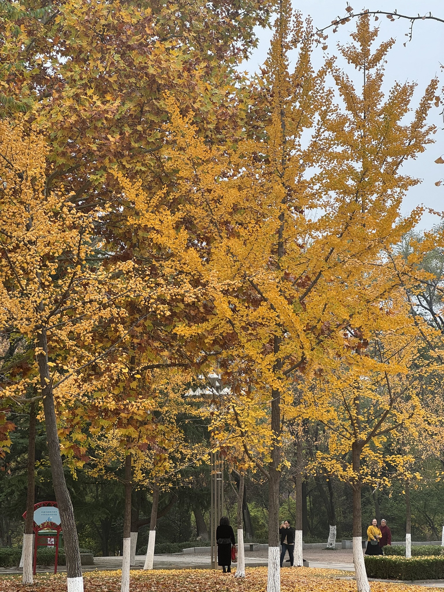 红石公园旅行图片 1