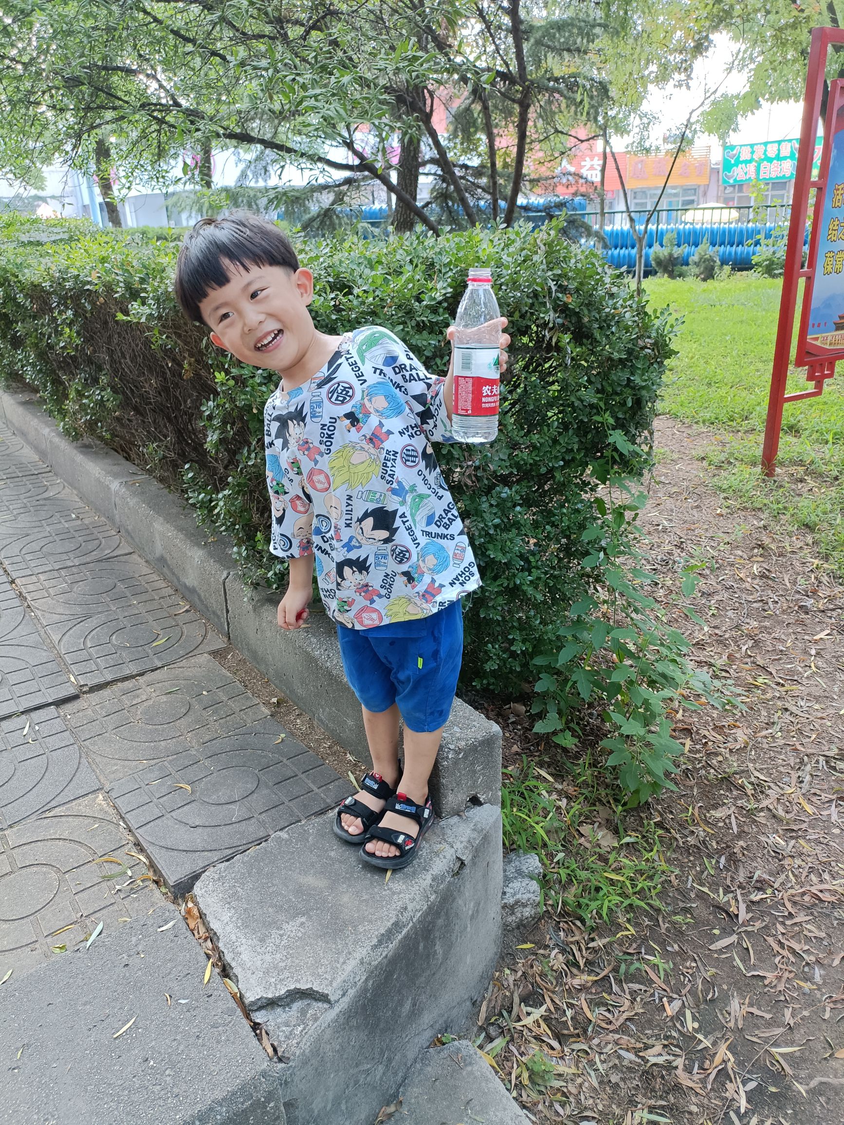 西秀游园旅行图片 1