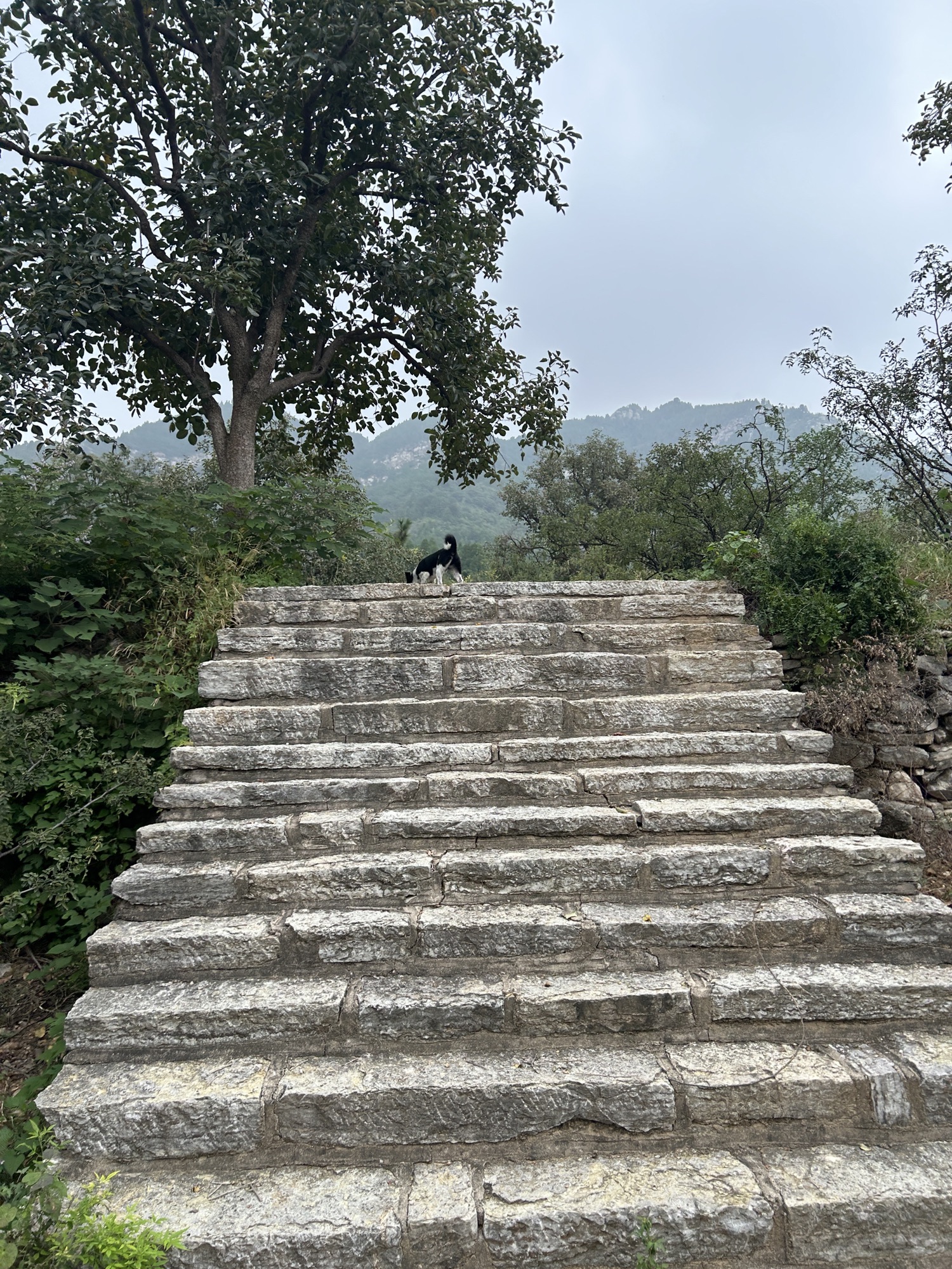 笔架山景区旅行图片 2