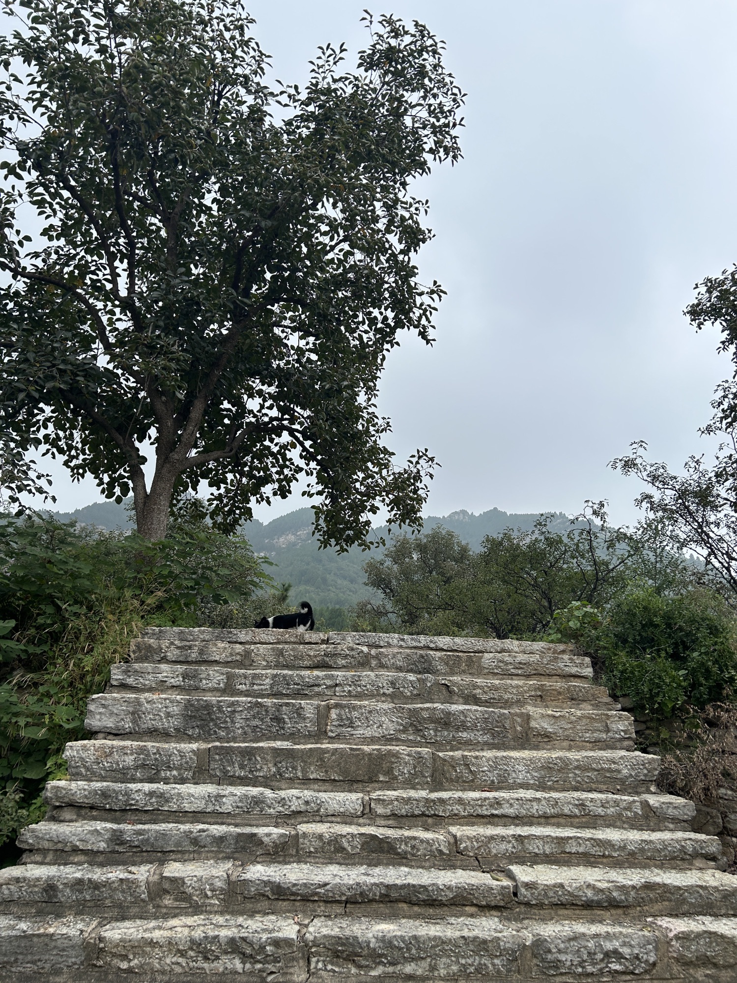 笔架山景区旅行图片 3
