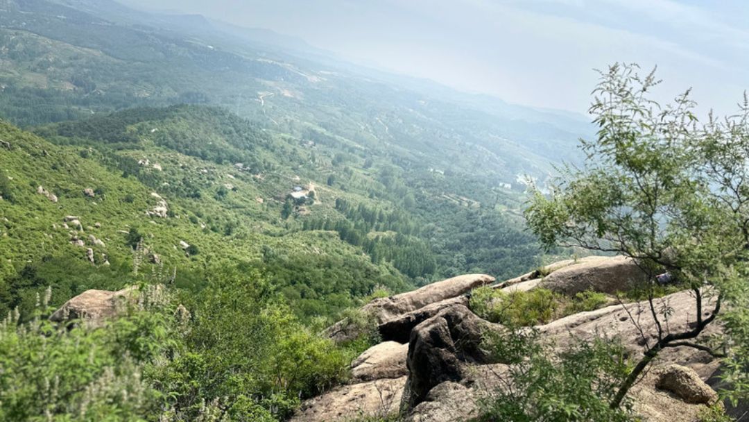 棋山森林公园旅行图片 3