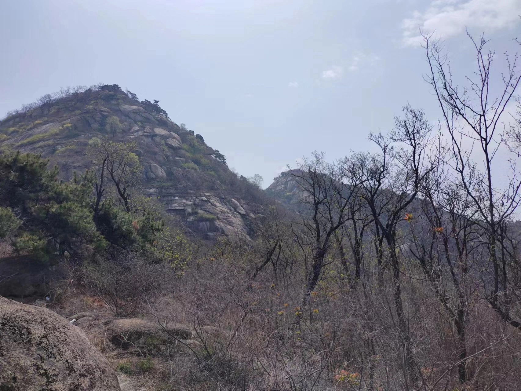 棋山森林公园旅行图片 2
