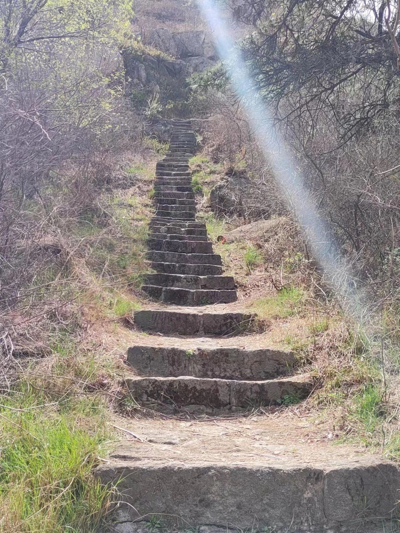 棋山森林公园旅行图片 3