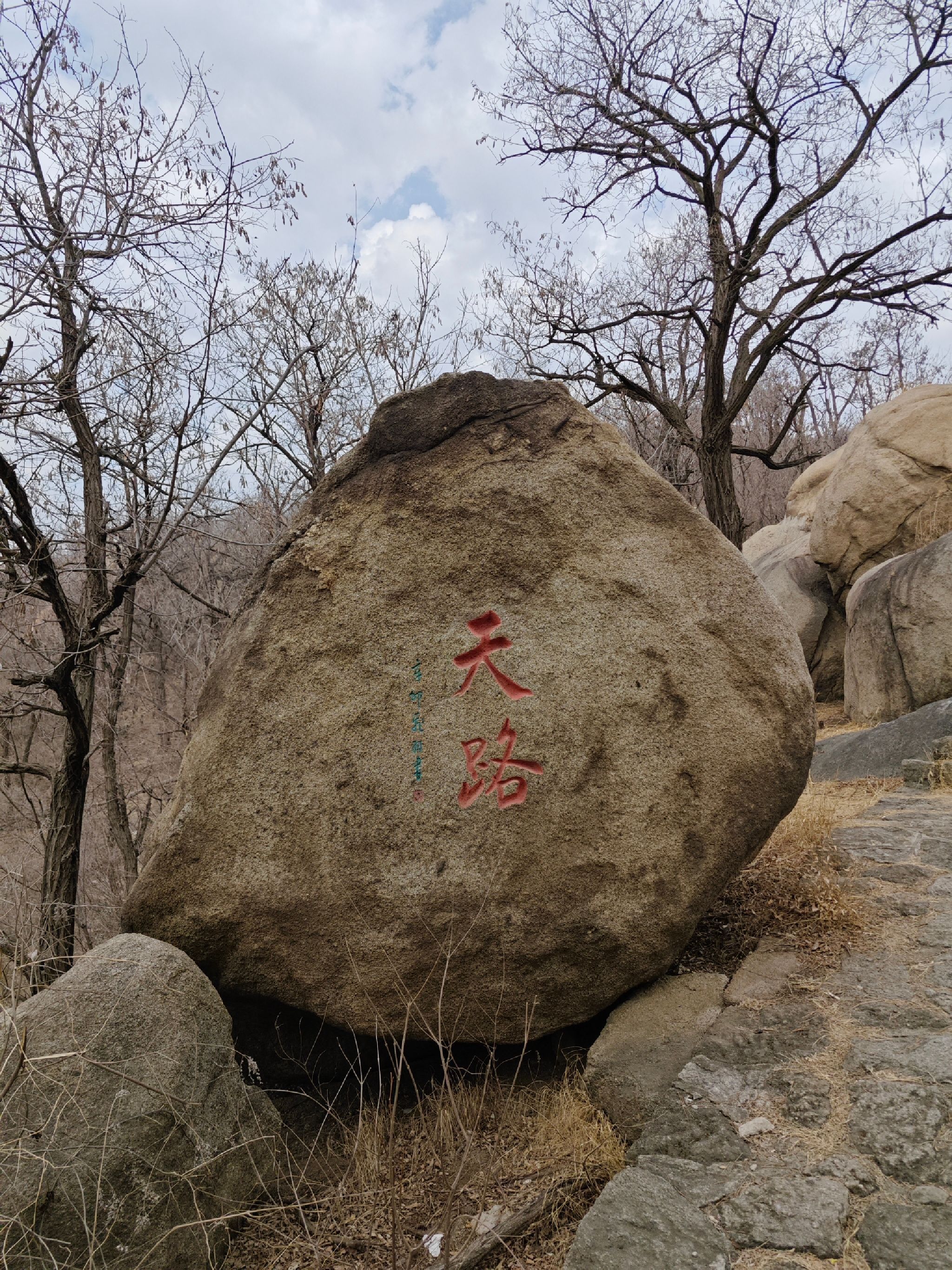 棋山森林公园旅行图片 1