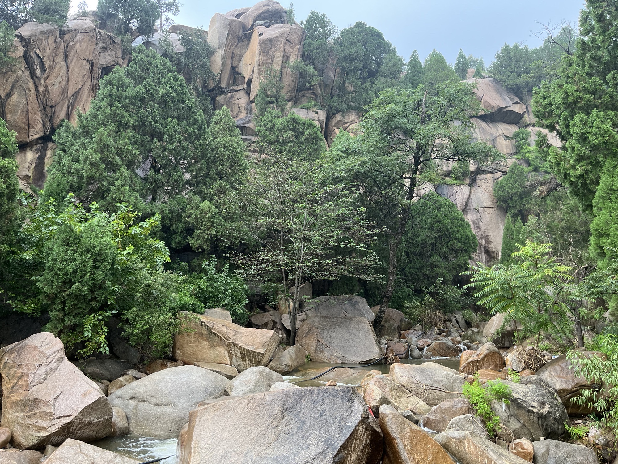莱芜华山国家森林公园旅行图片 3