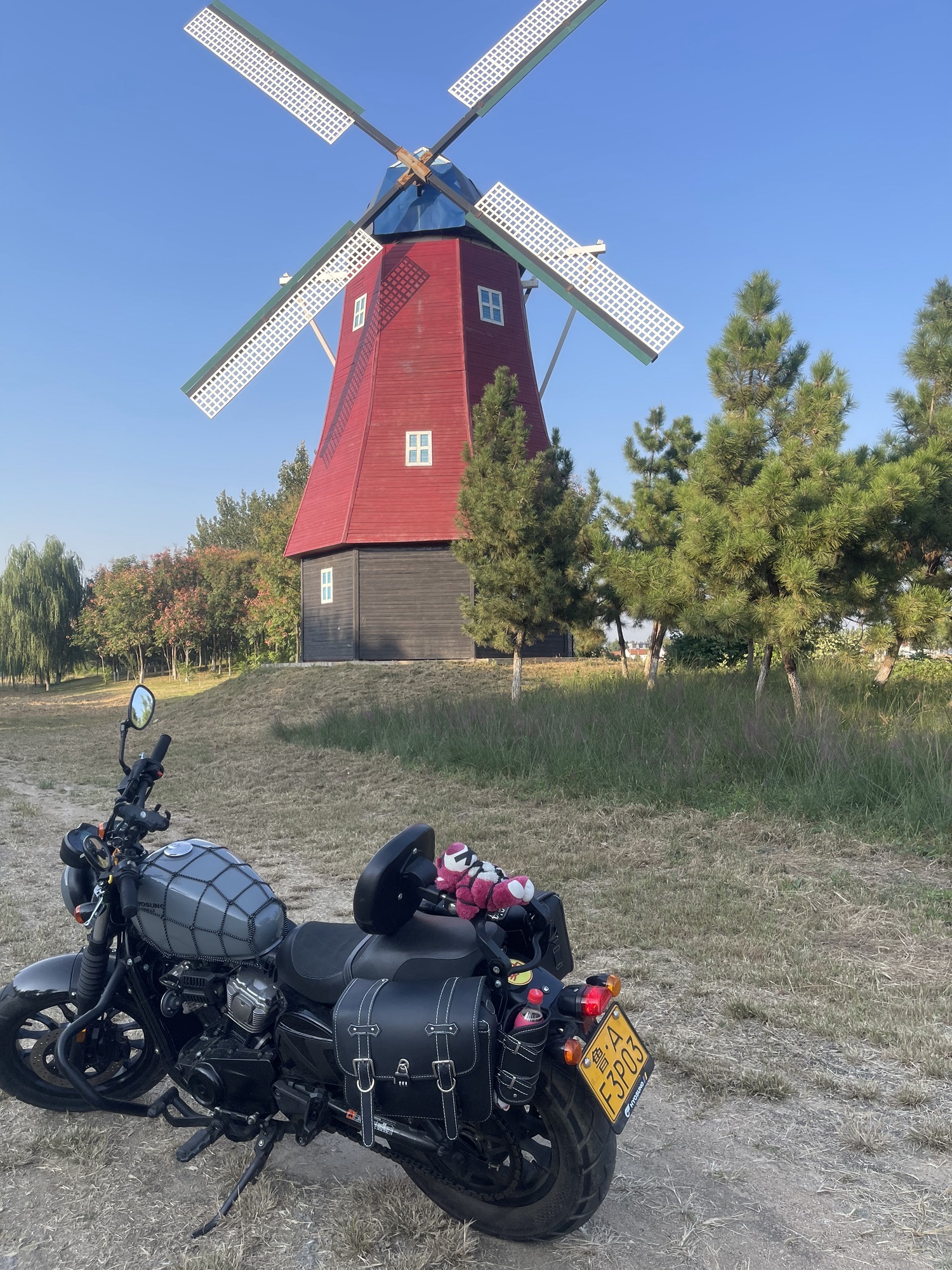 龙马河公园旅行图片 2