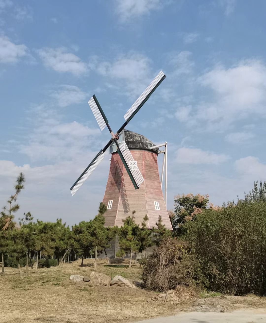 龙马河公园旅行图片 2