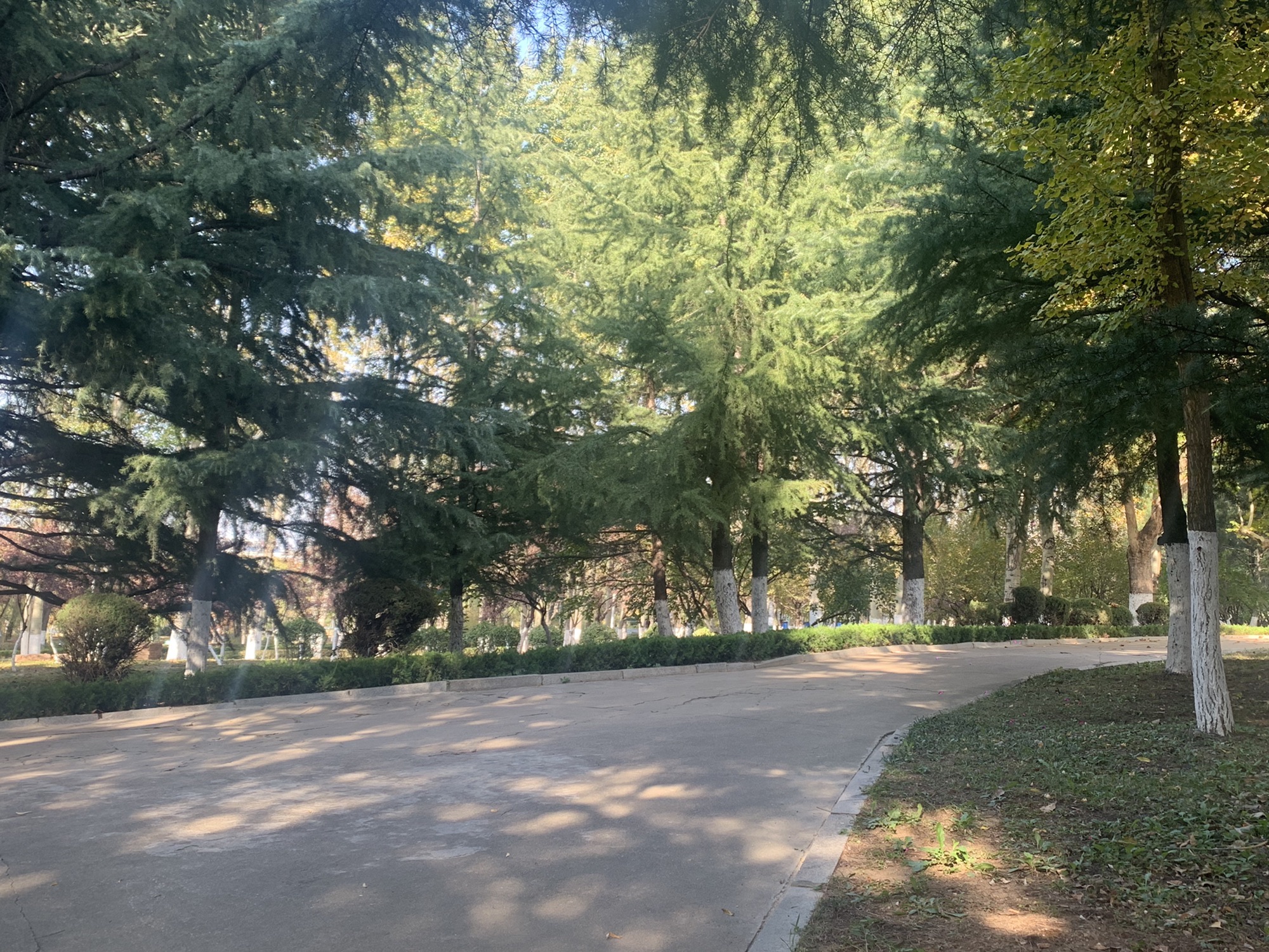 莲河公园旅行图片 2