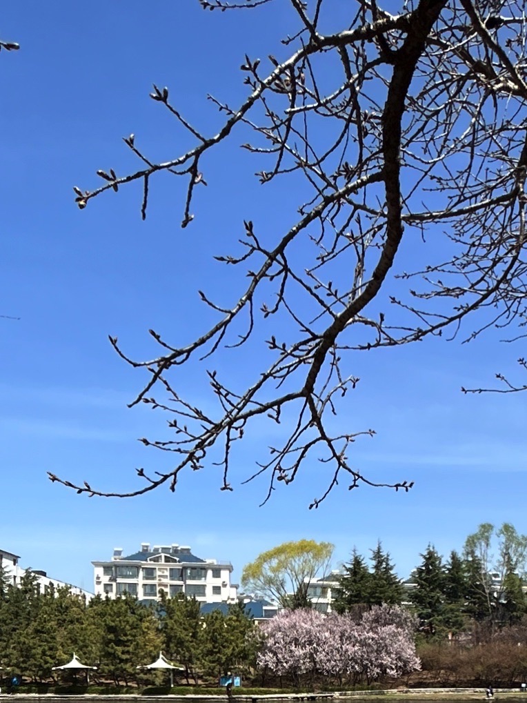 莲河公园旅行图片 2