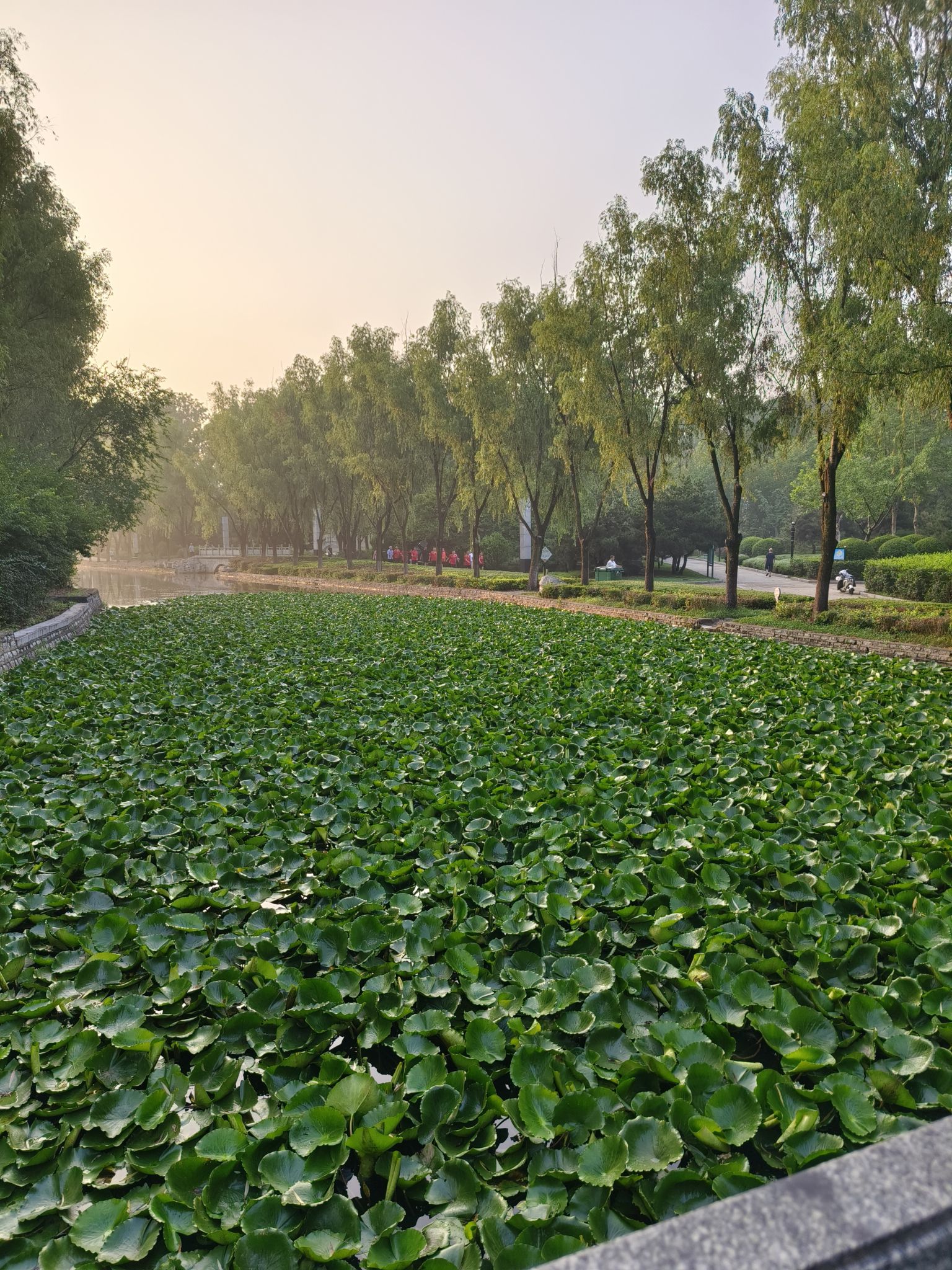 莲河公园旅行图片 2