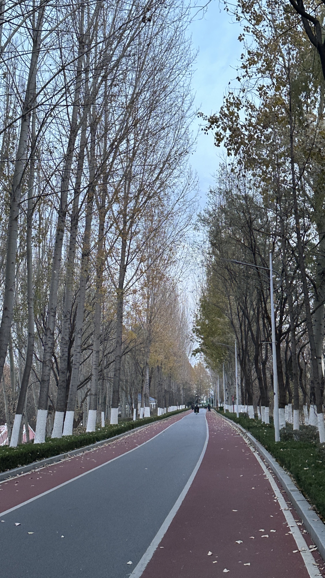 莲河公园旅行图片 1