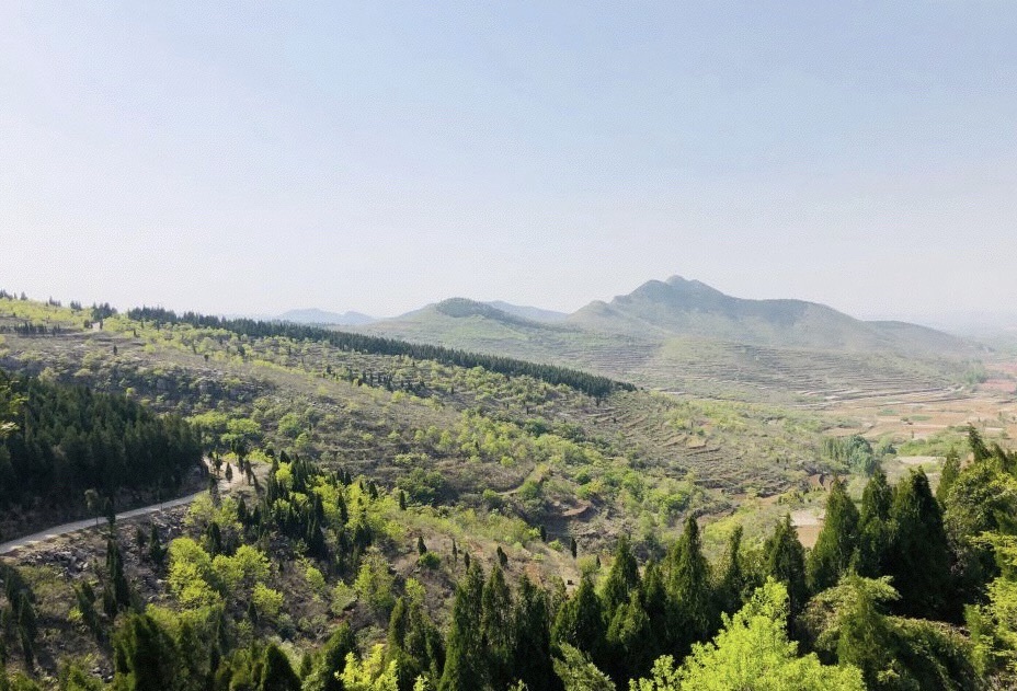 九龙山风景区旅行图片 3
