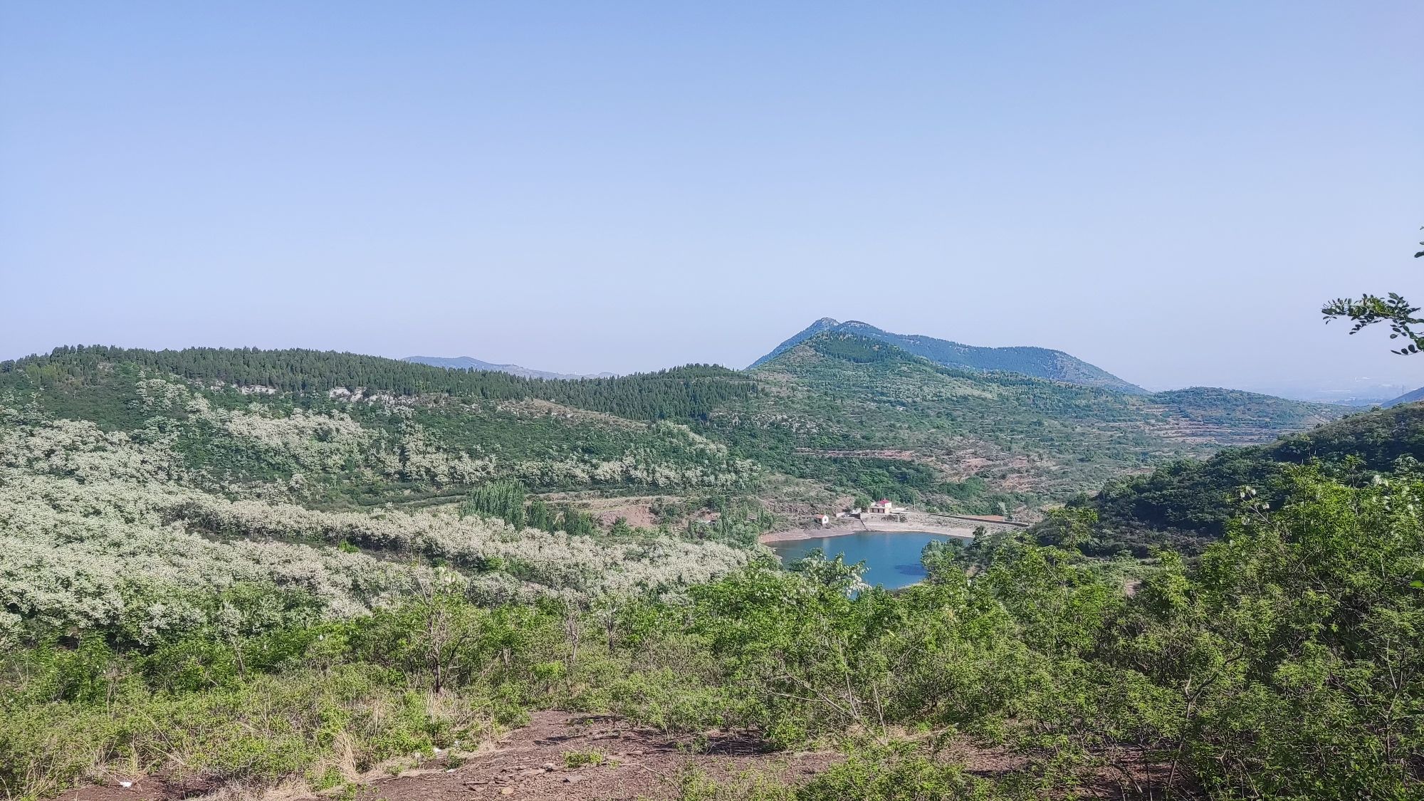 九龙山风景区旅行图片 1