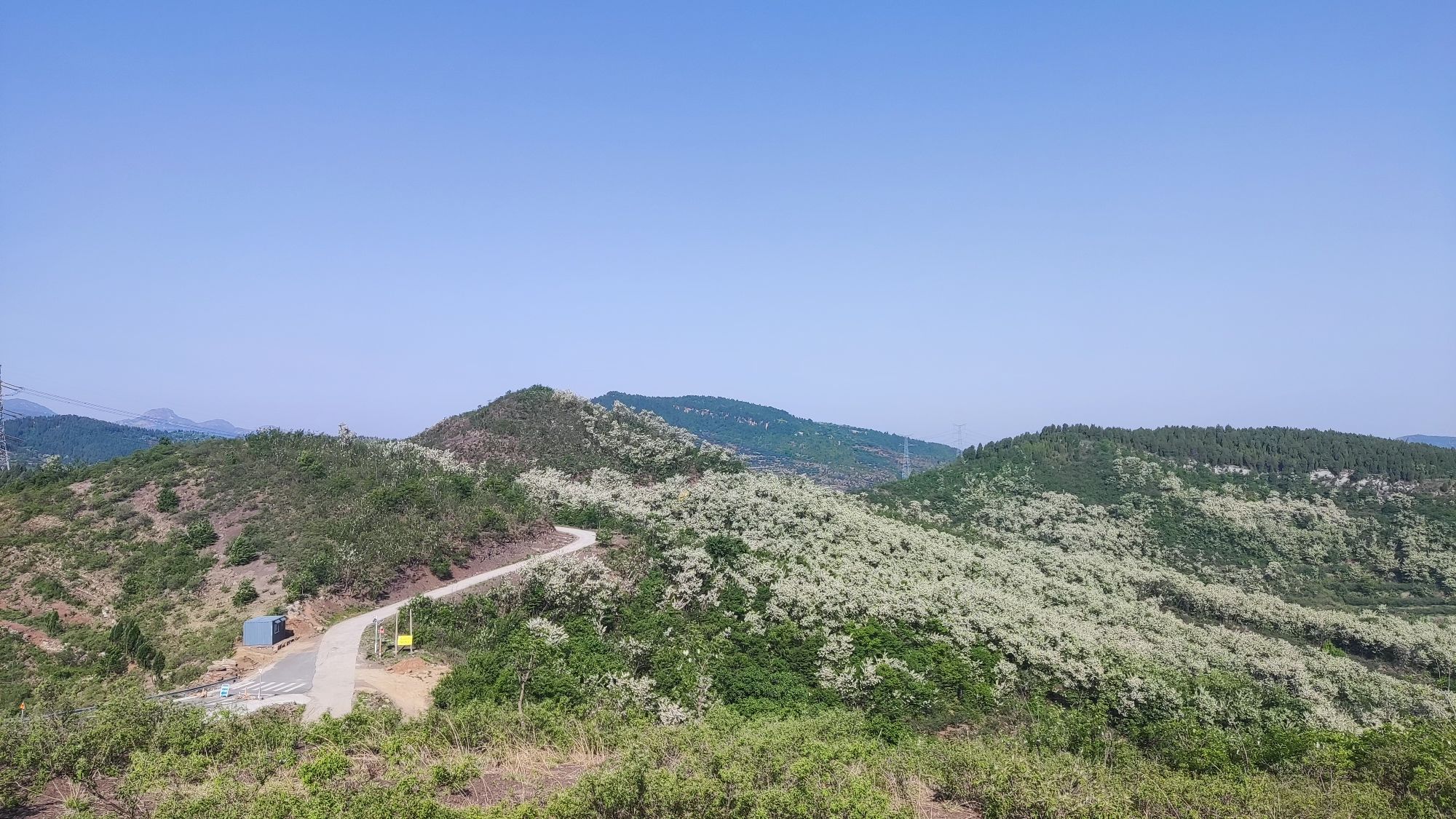 九龙山风景区旅行图片 3